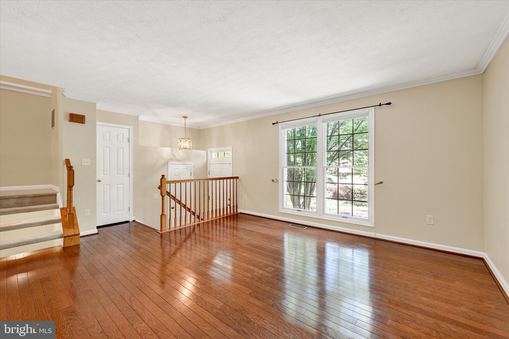 DORSEY SEARCH - Residential