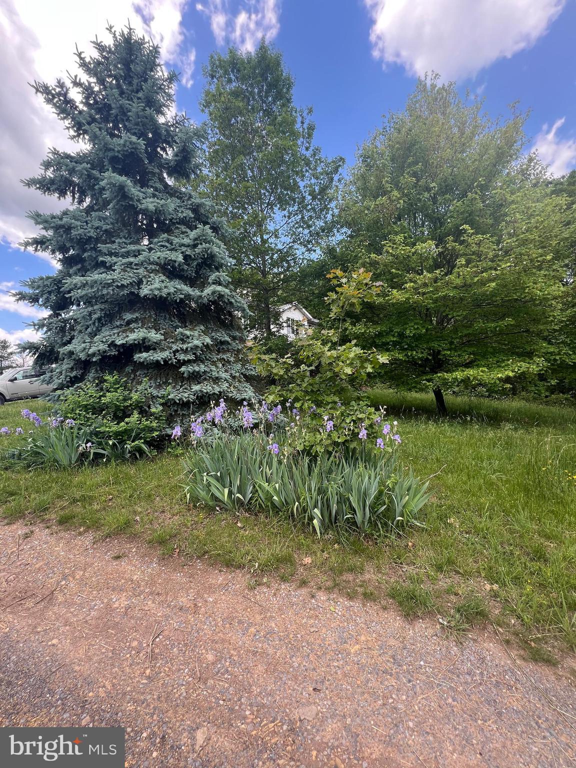 NONE AVAILABLE - Farm