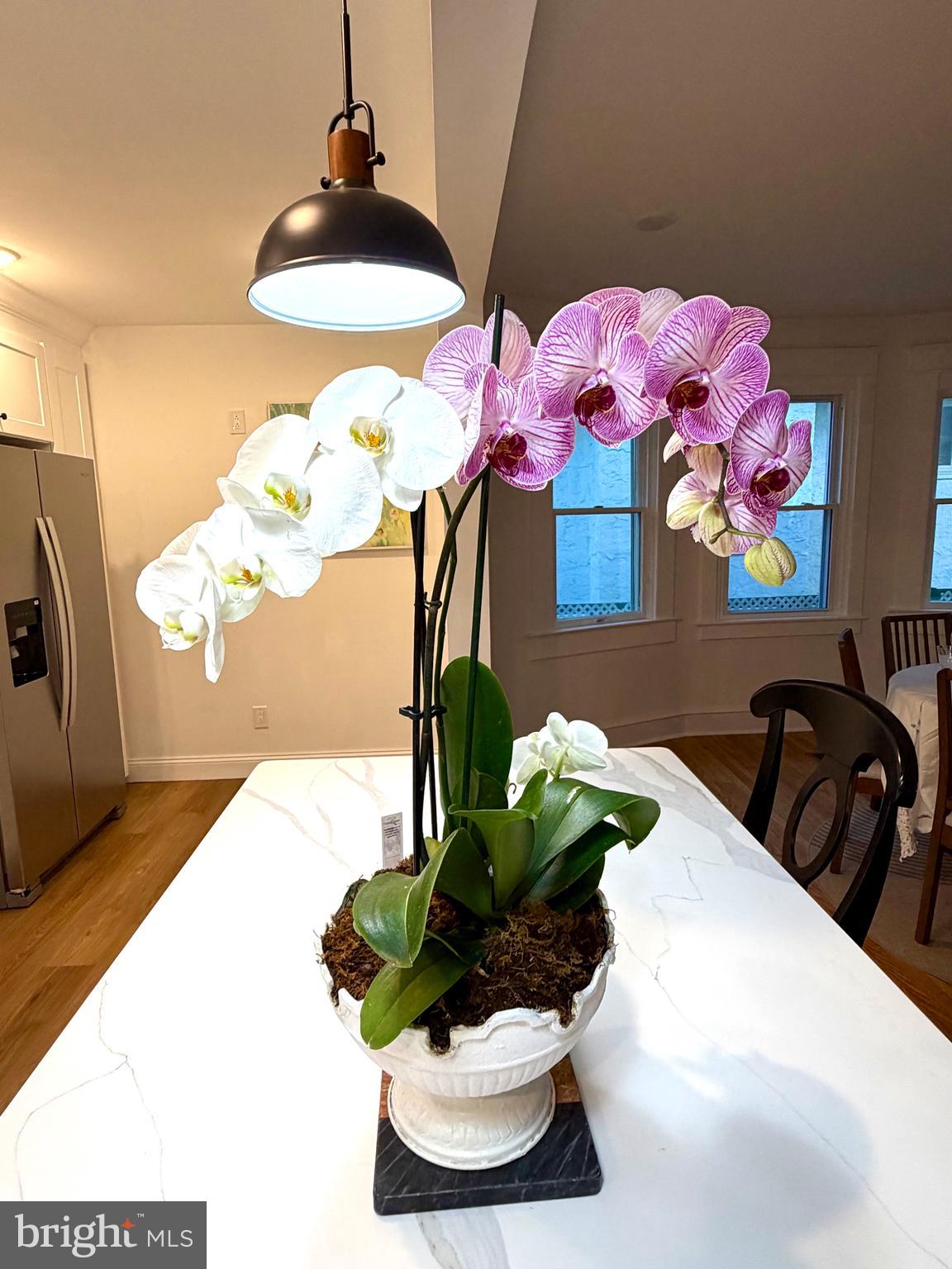 HAVERTOWN - Residential