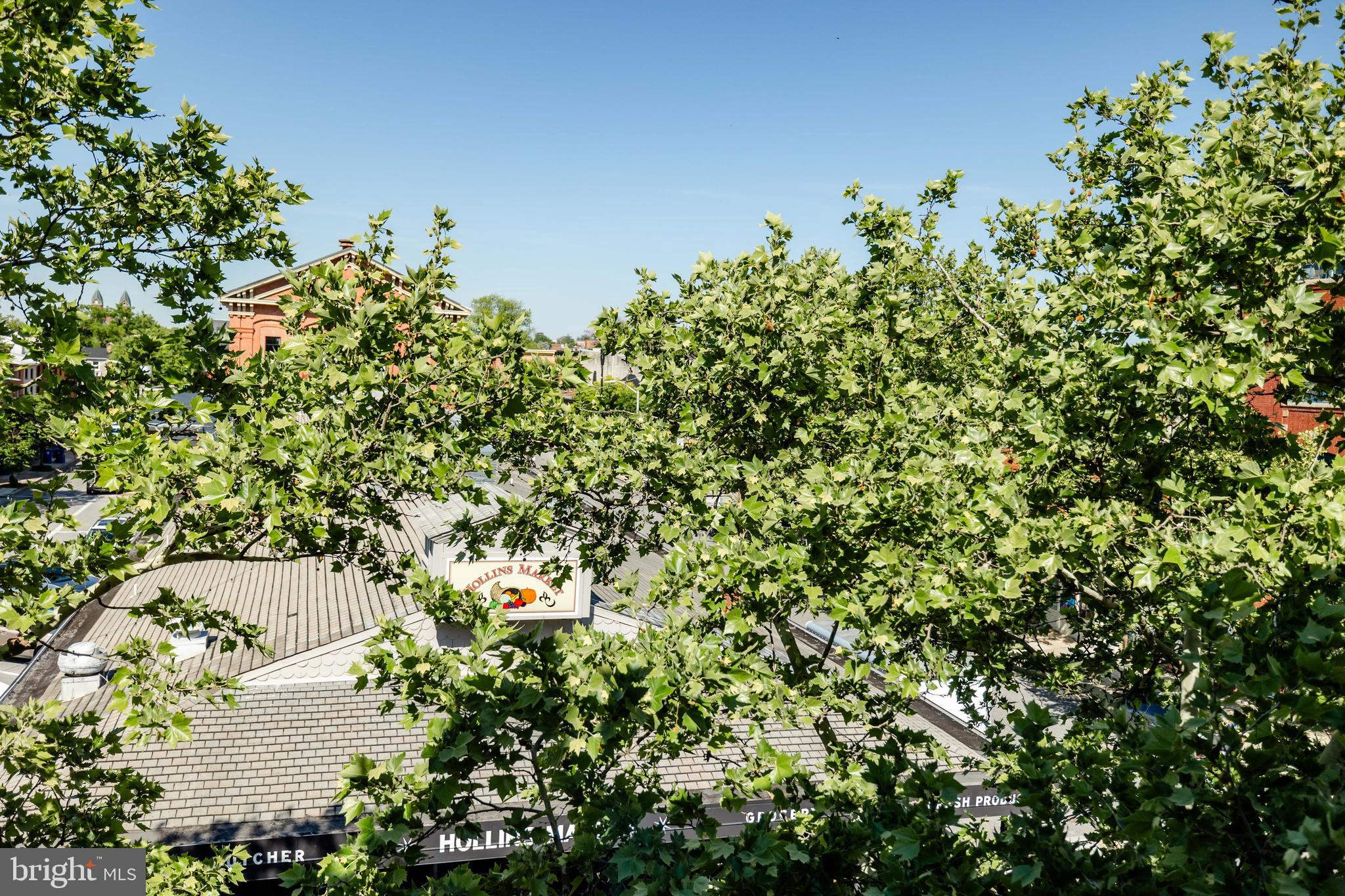 HOLLINS MARKET - Residential Lease