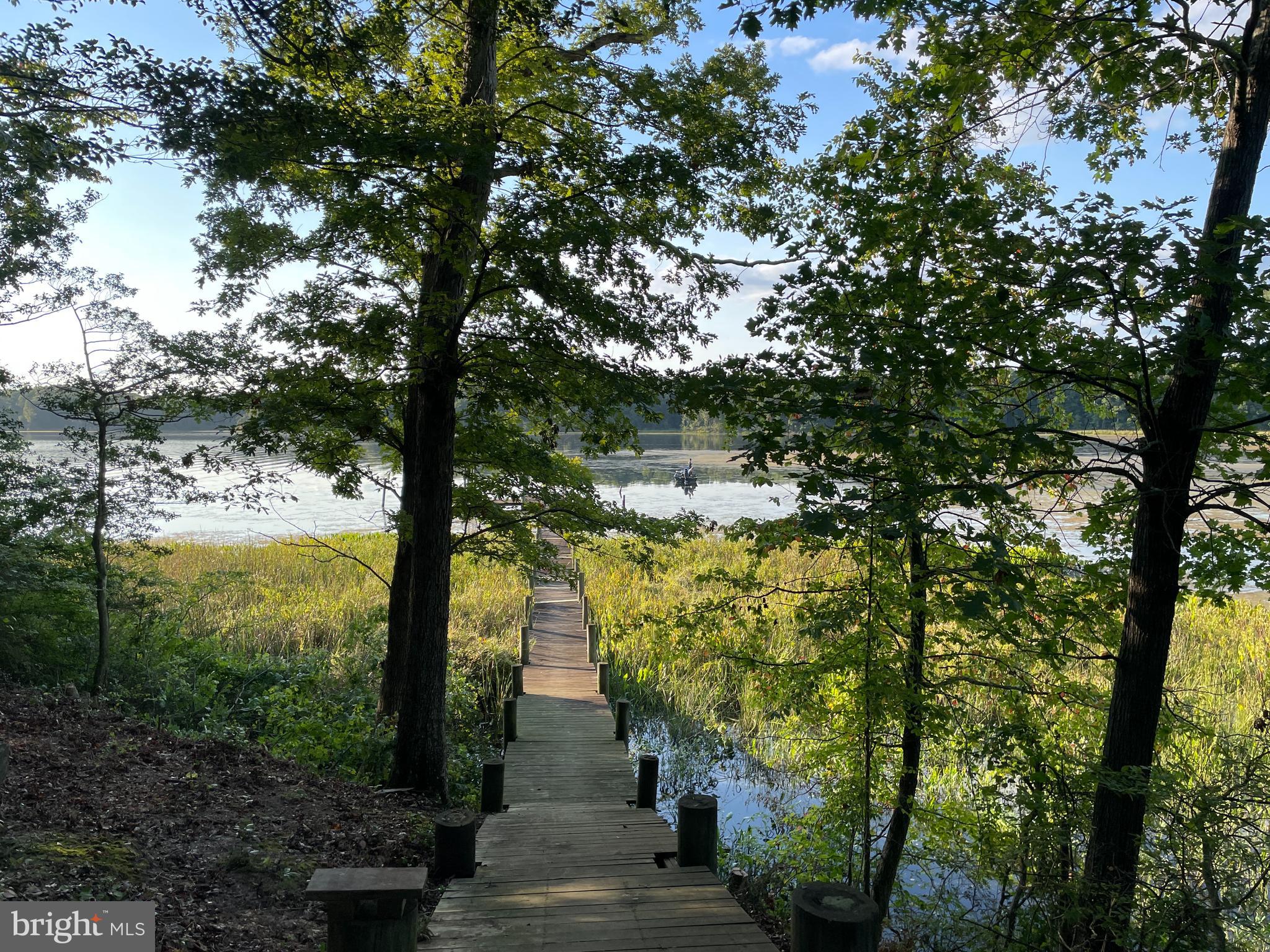 SHADY COVE - Land