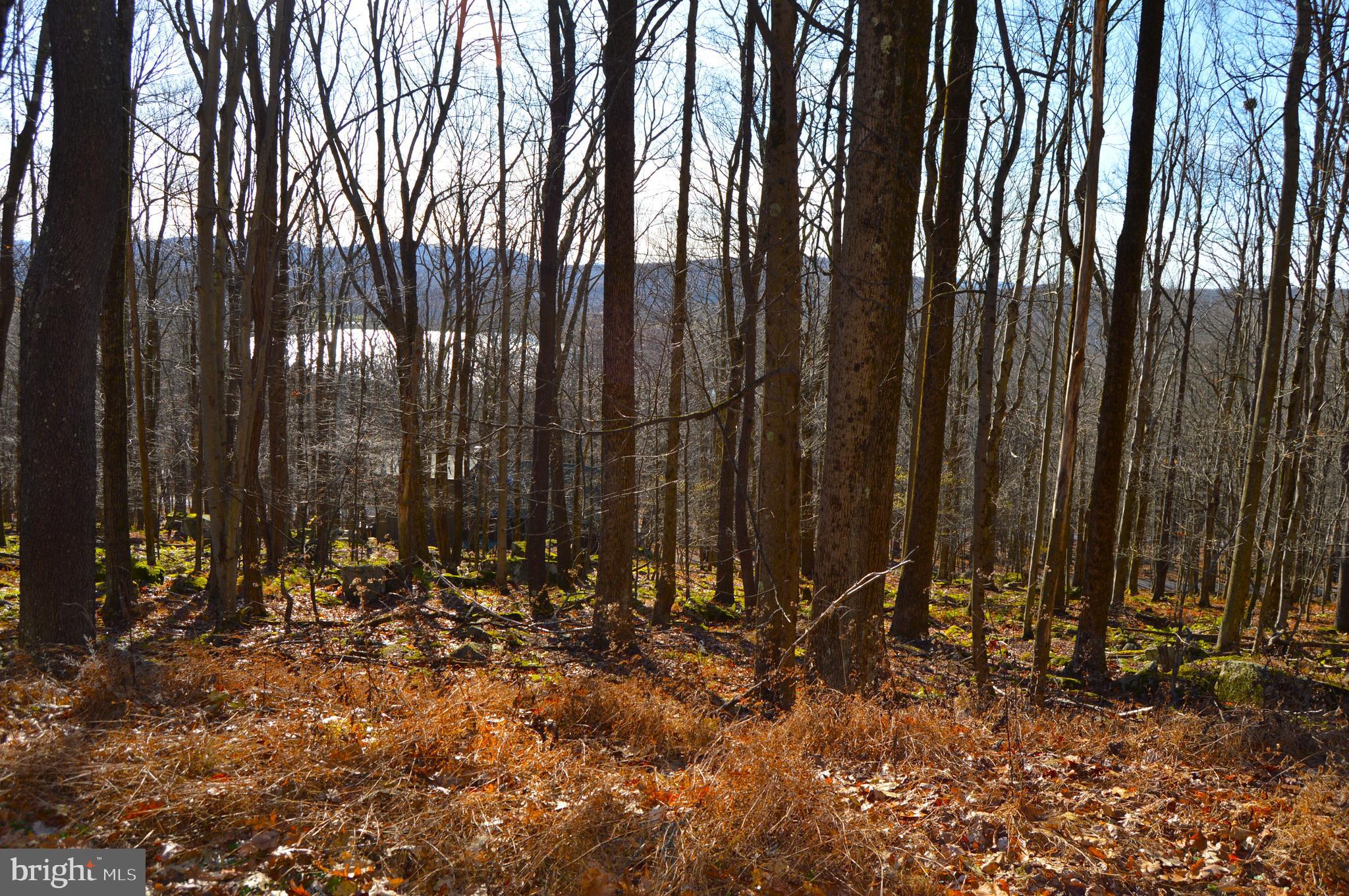 ALPINE LAKE RESORT - Land
