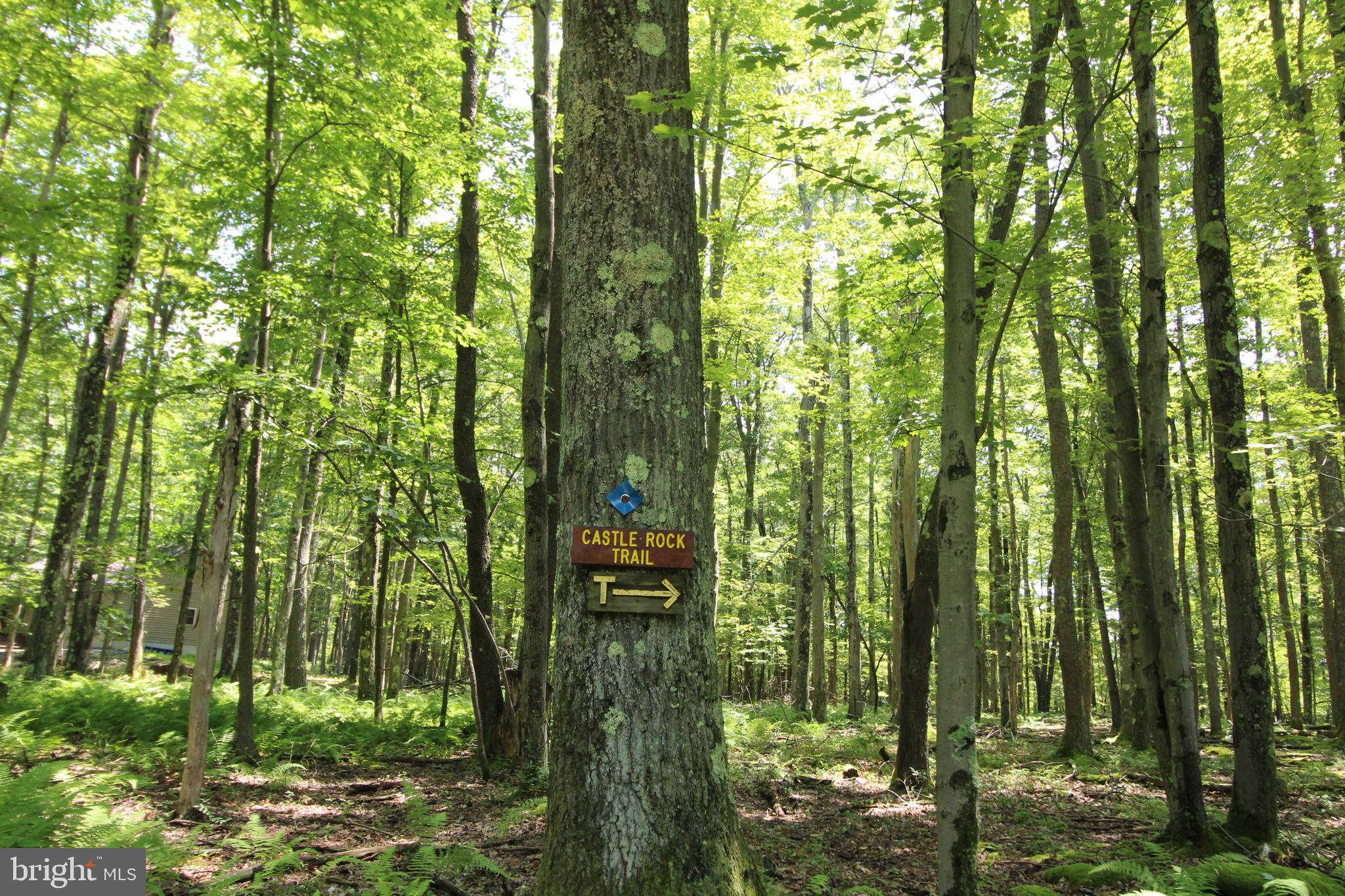 ALPINE LAKE RESORT - Land