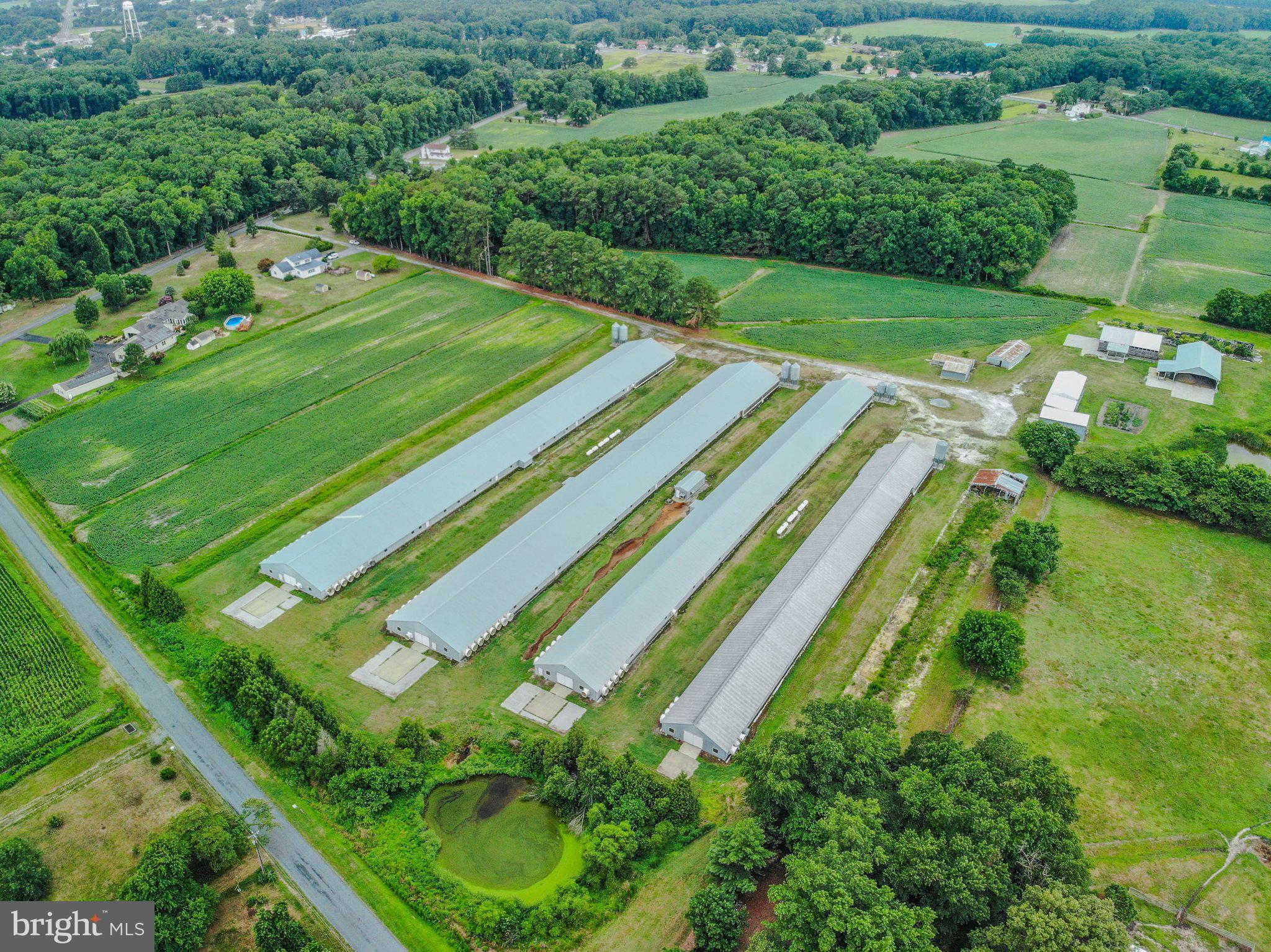 NONE AVAILABLE - Farm
