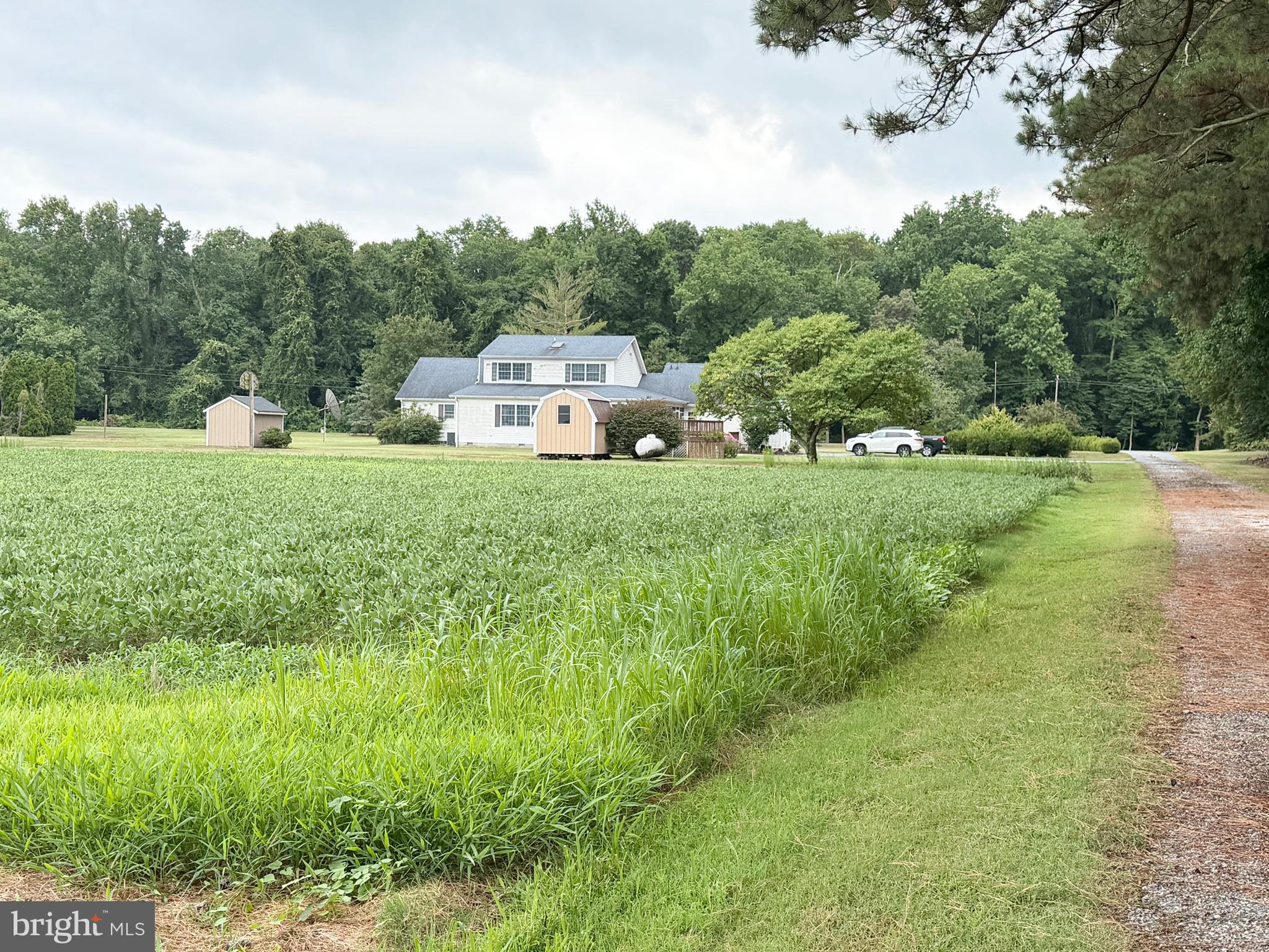 NONE AVAILABLE - Farm