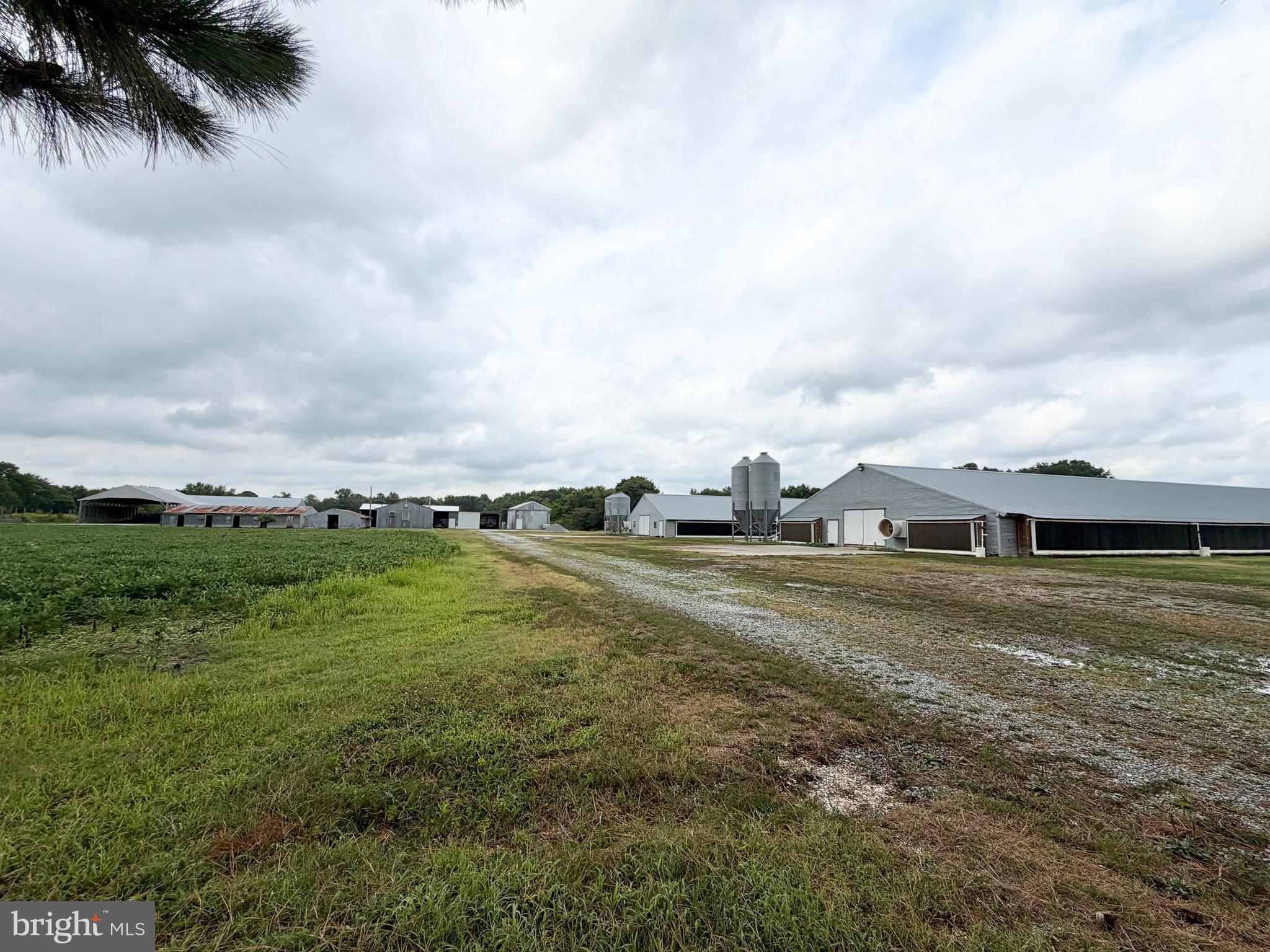 NONE AVAILABLE - Farm