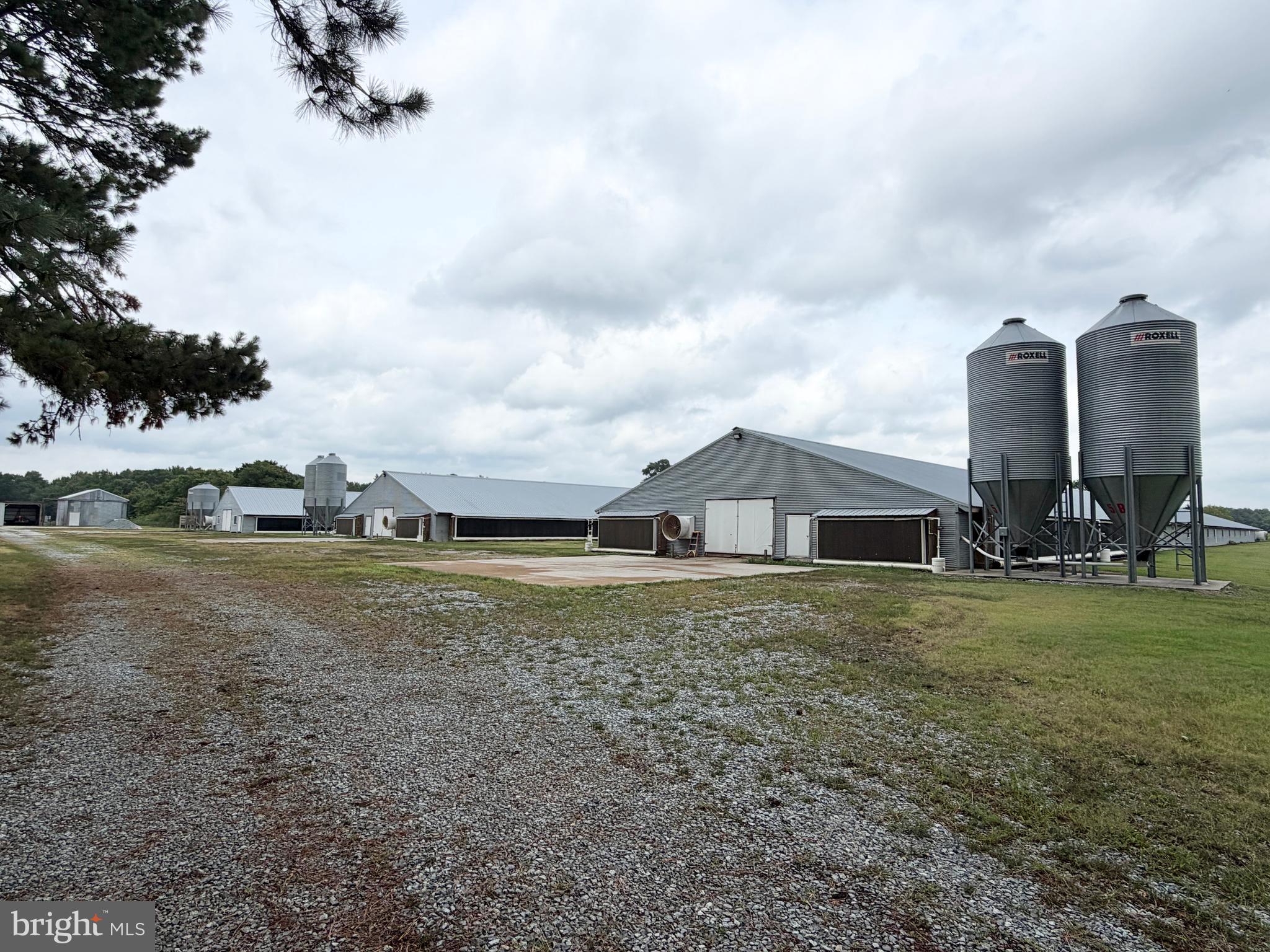 NONE AVAILABLE - Farm
