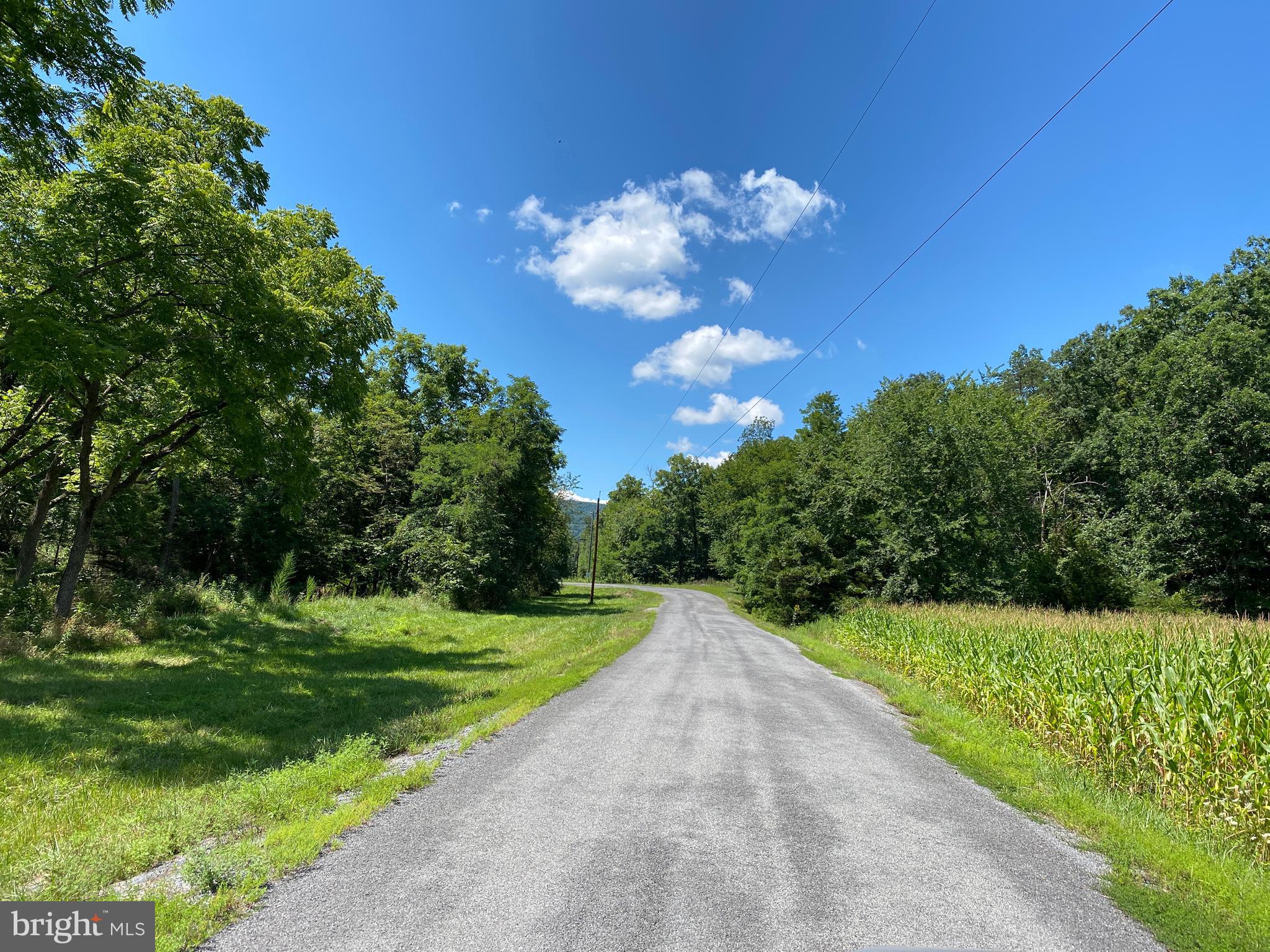 HICKORY KNOLL - Land