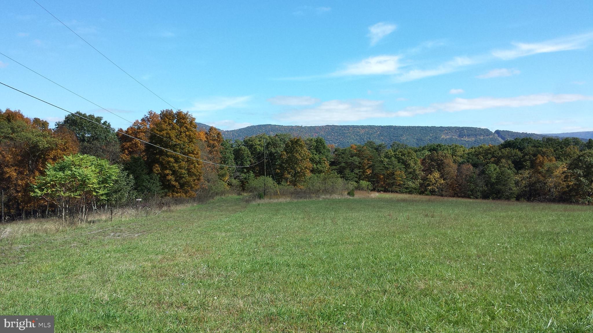 HICKORY KNOLL - Land