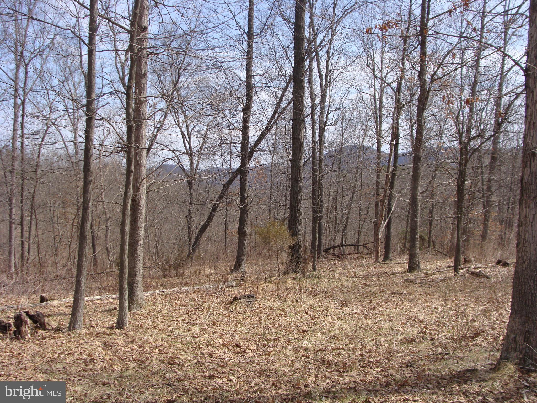 2.91 ACRE WOODED LOT WITH RELIABLE HIGH SPEED FIBER OPTIC INTERNET.   End of Road Privacy. Electric and public water available for hook up.  Approved perk test for conventional septic system.  Lot is gently rolling and ideal for a walkout basement.  One of the largest lots in the subdivision and full of hardwood trees.  Hickory Knoll is a private, quiet and scenic subdivision well suited for families, folks wanting to retire or those wanting a weekend retreat in the mountains of Wild and Wonderful West Virginia.   Roads are well maintained and a combination of asphalt and gravel.  Great neighborhood and family friendly atmosphere.  Nice 10 minute drive down the valley to bustling Moorefield for shopping, entertainment, parks, work, school and US Route 48 (Corridor H).