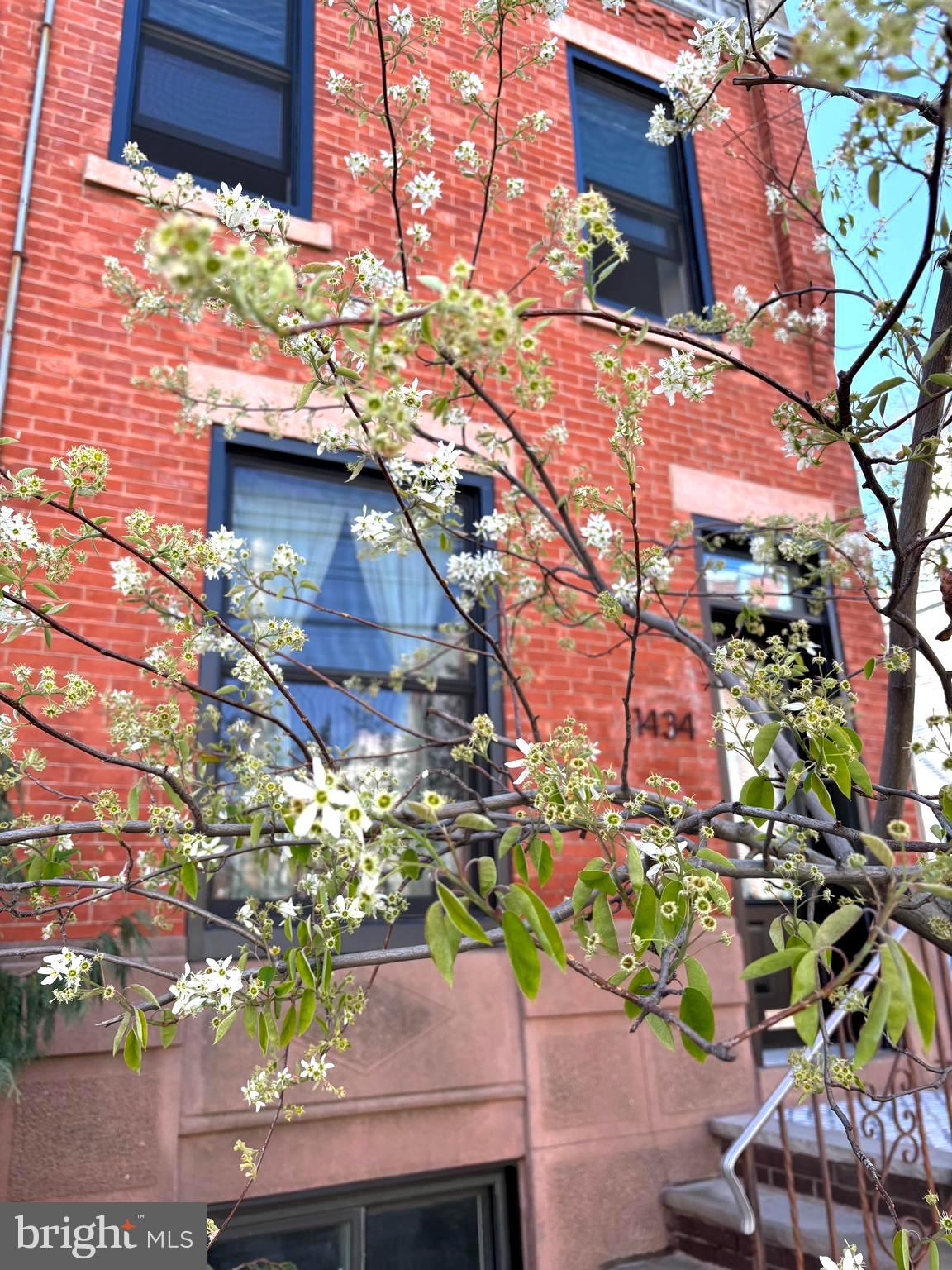 POINT BREEZE - Residential