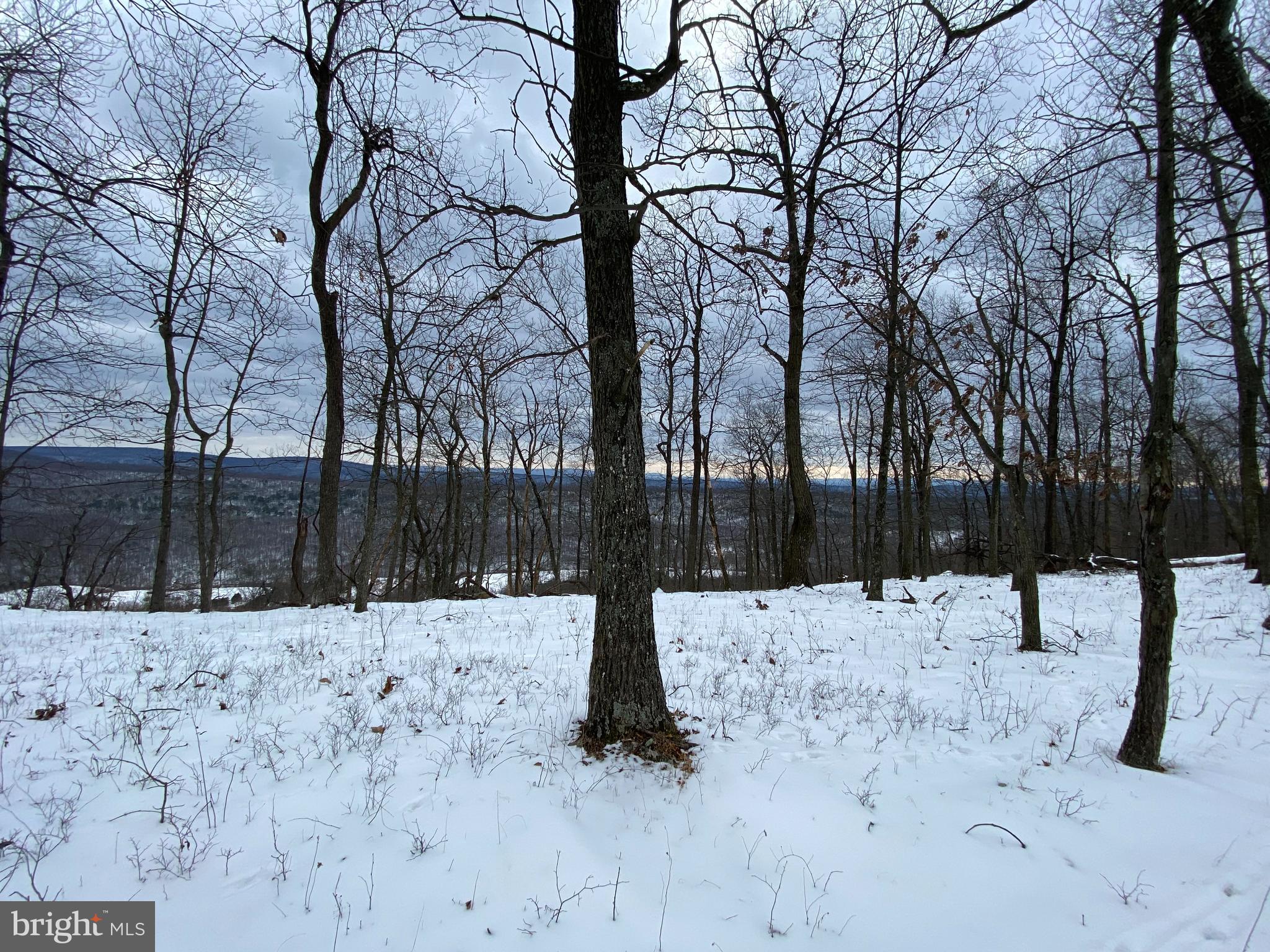 15 acre wooded building lot recently surveyed, and perk tested ready to build your wooded mountain getaway on , property is very secluded and close to Pa Game Lands 049 .
