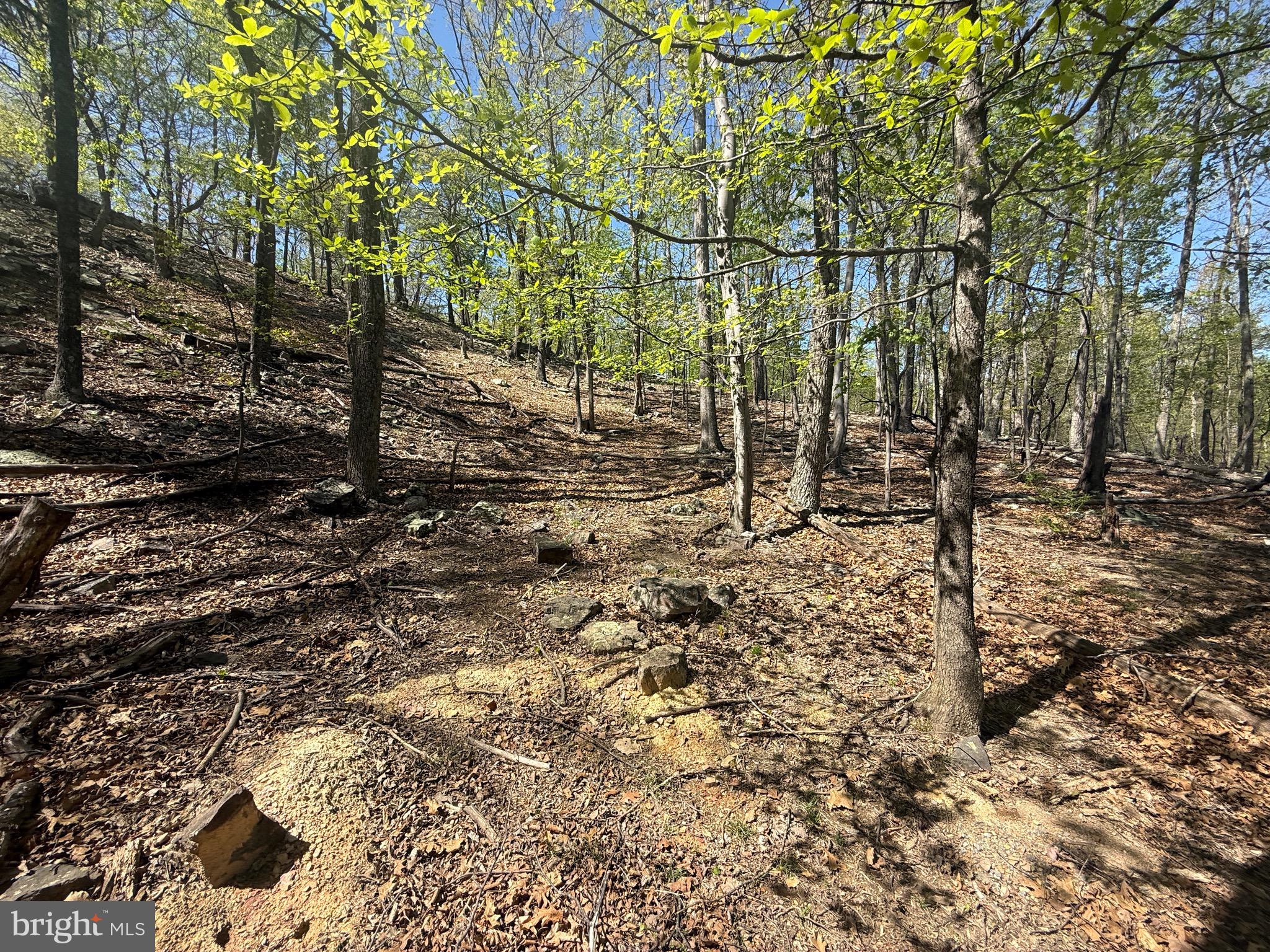 PINEY RIDGE - Land