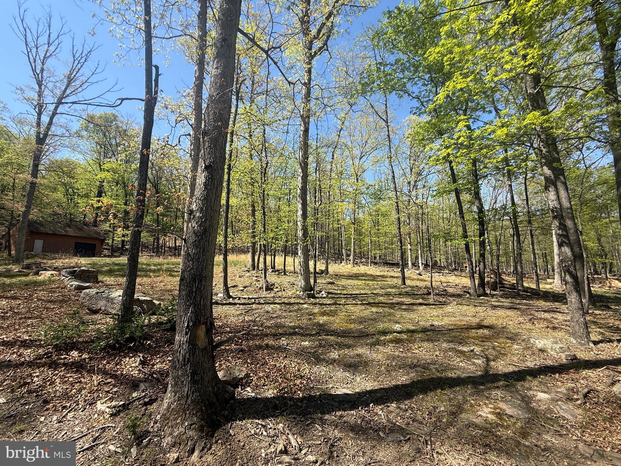 PINEY RIDGE - Land