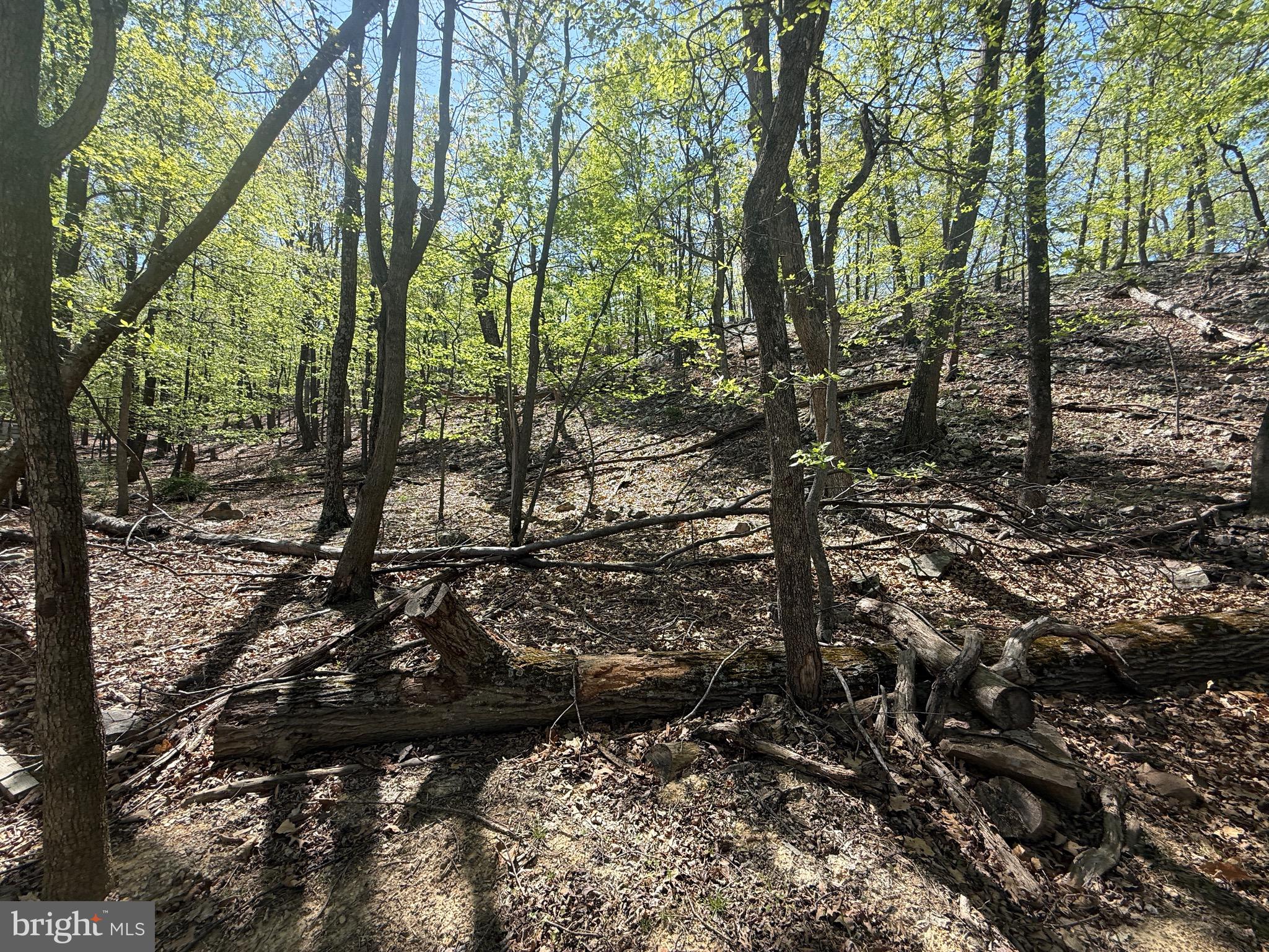 PINEY RIDGE - Land