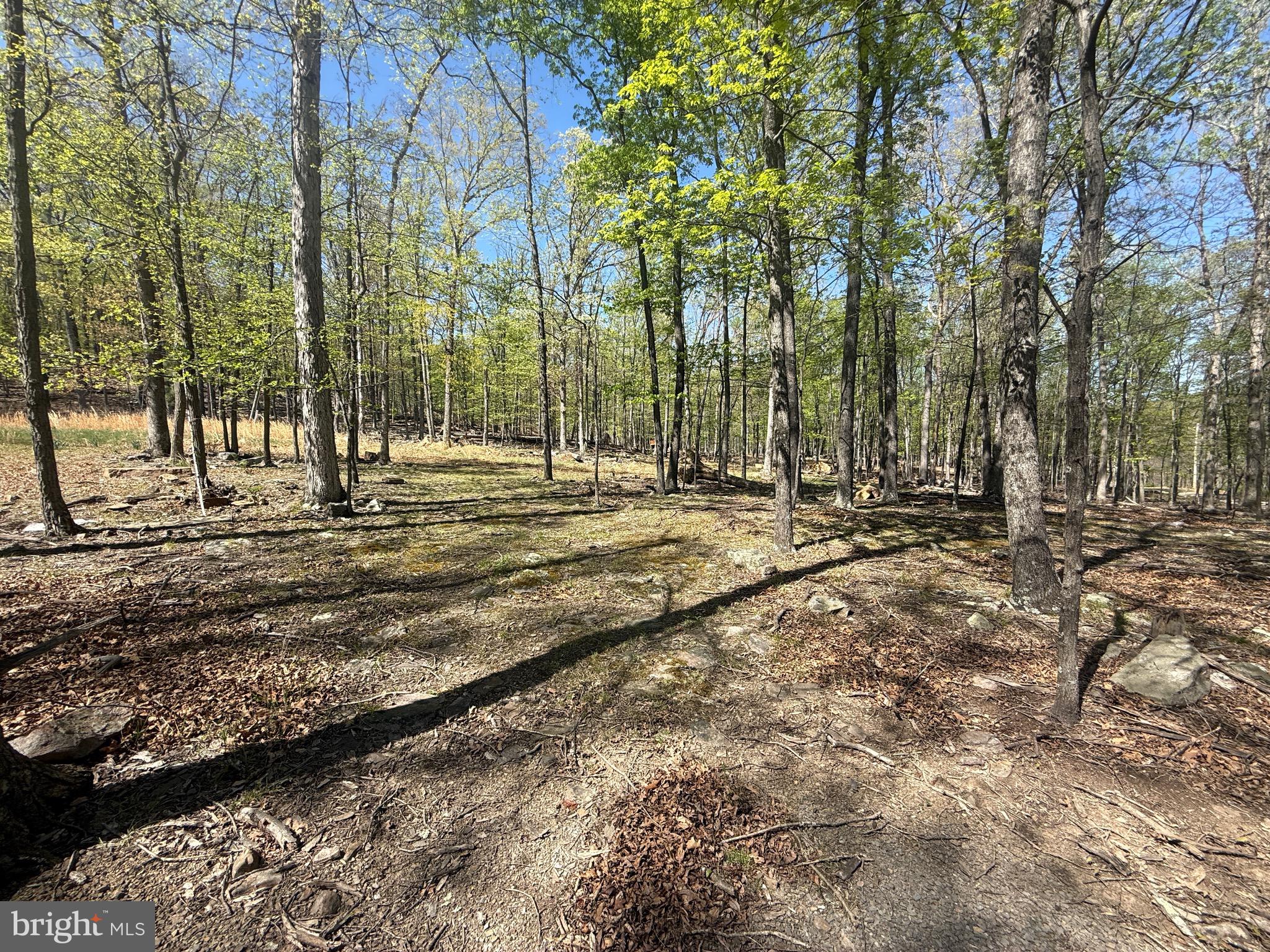 PINEY RIDGE - Land