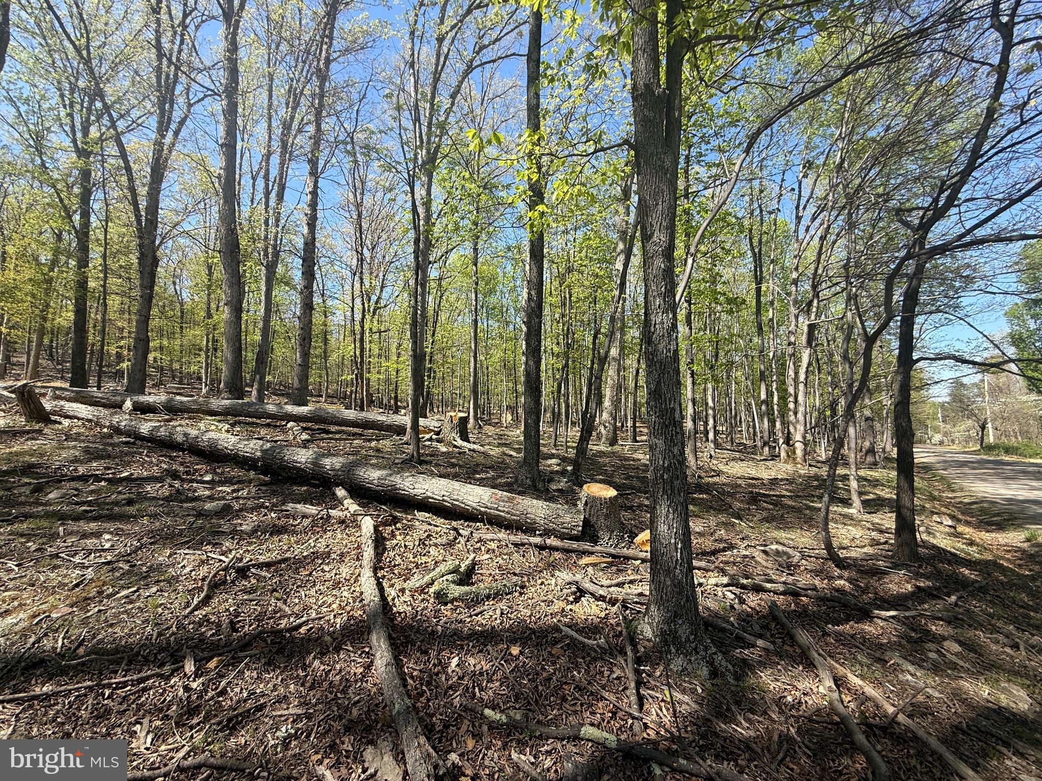 PINEY RIDGE - Land