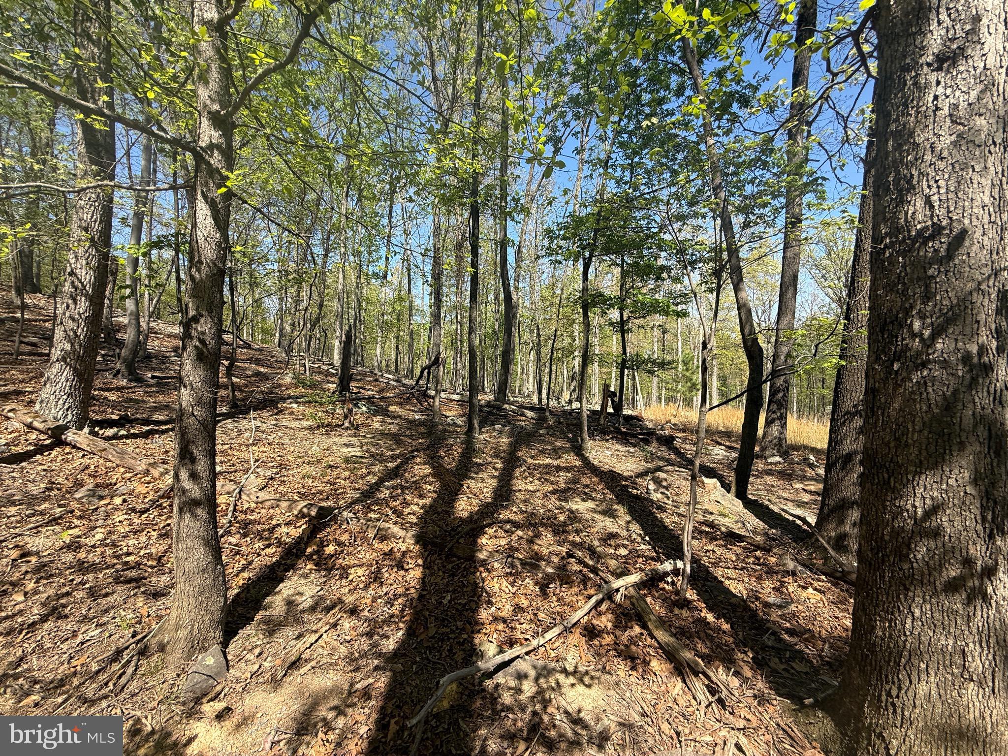 PINEY RIDGE - Land