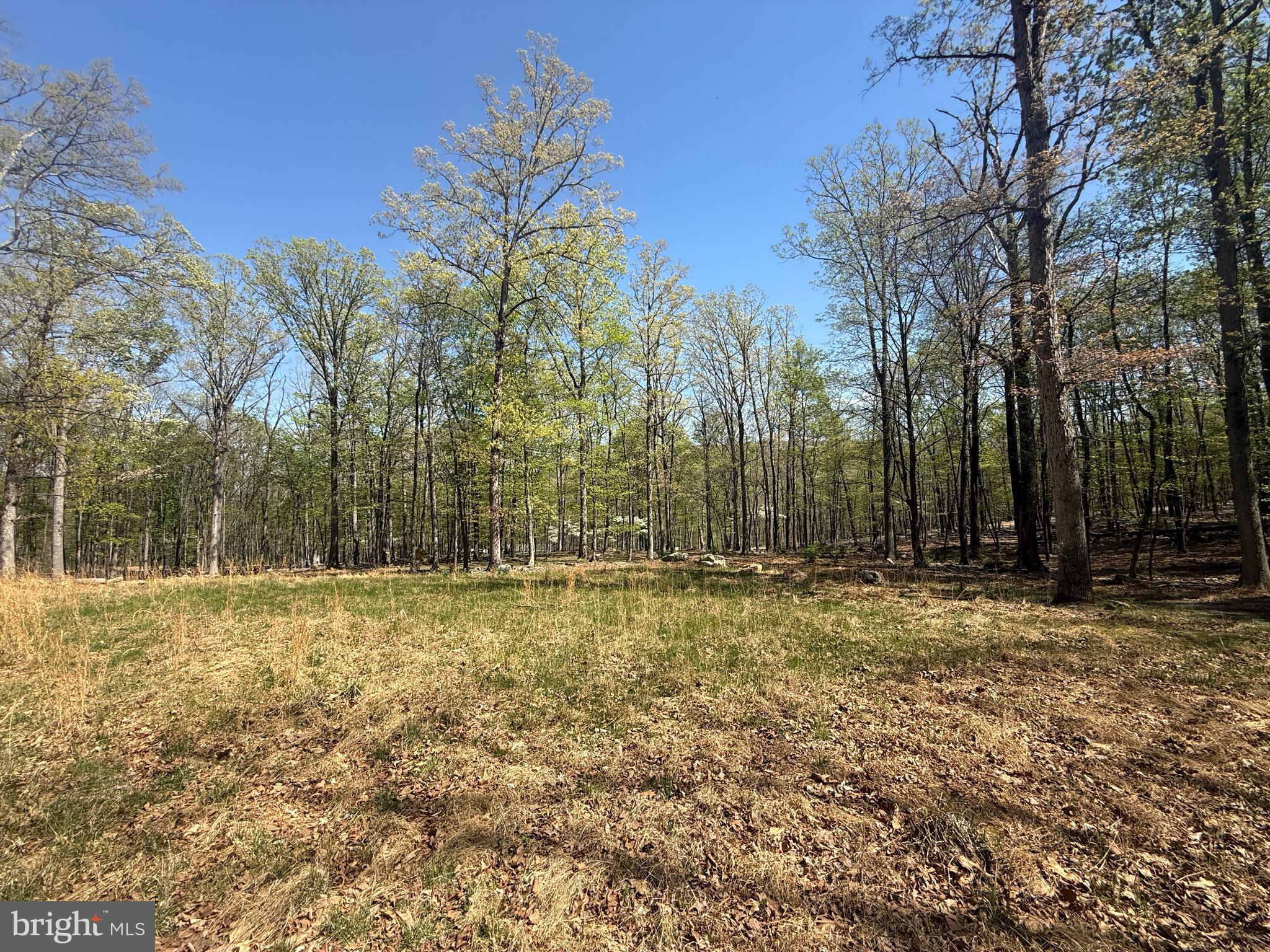 PINEY RIDGE - Land