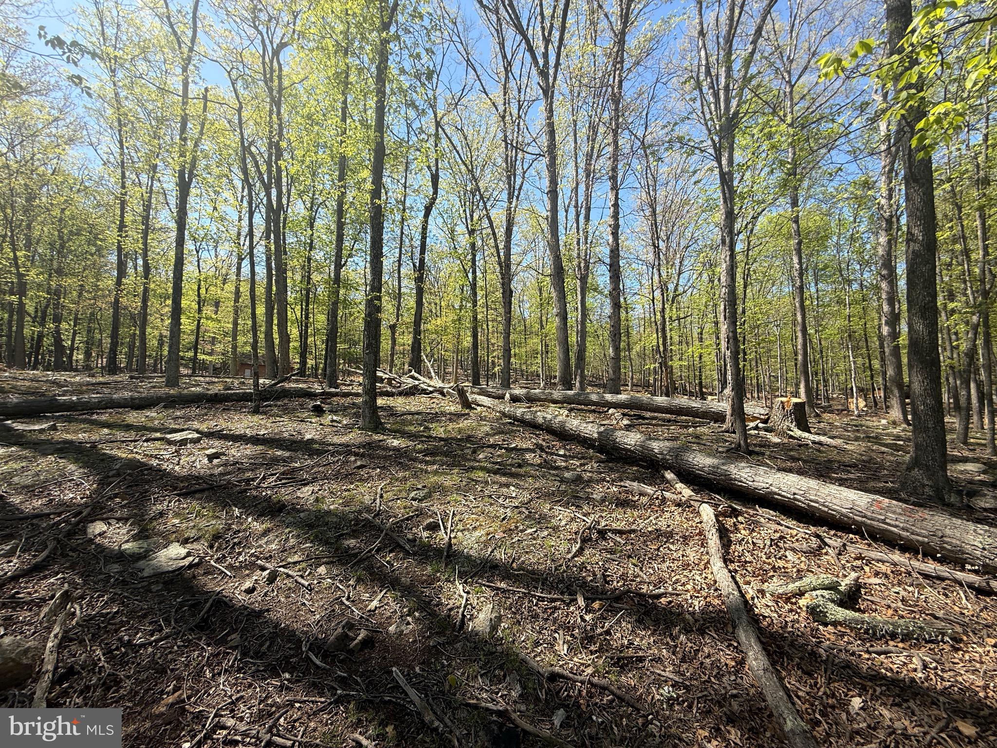 PINEY RIDGE - Land