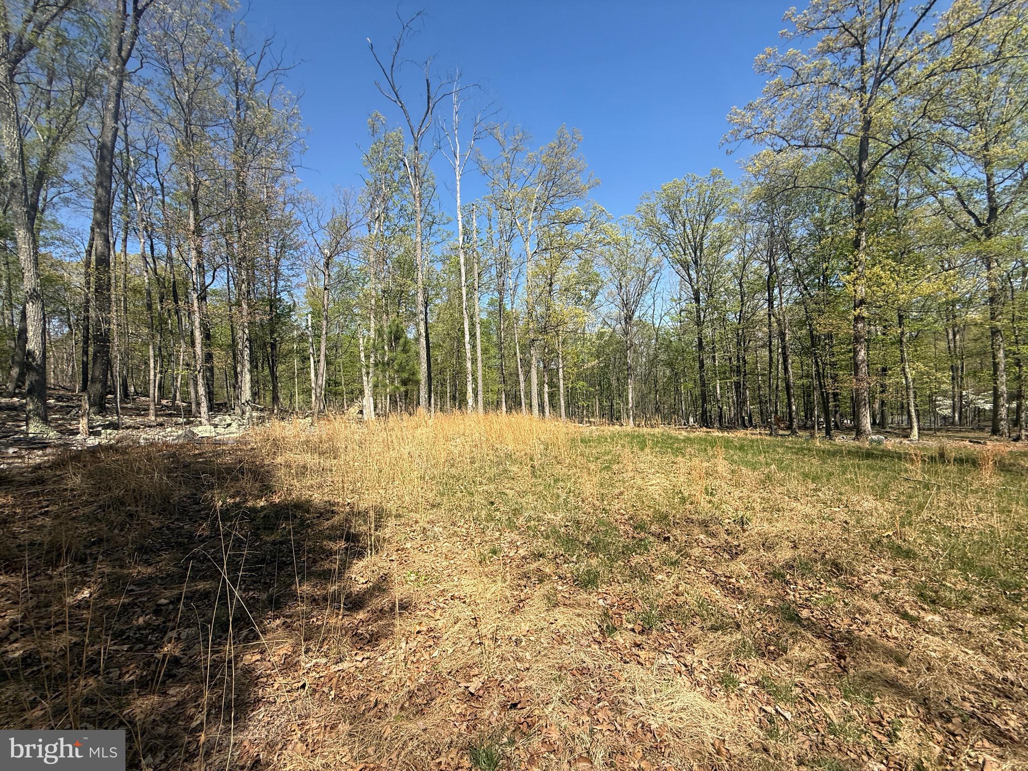 PINEY RIDGE - Land