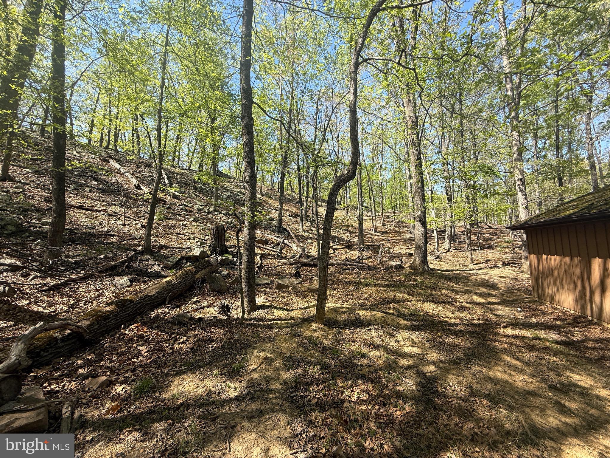 PINEY RIDGE - Land