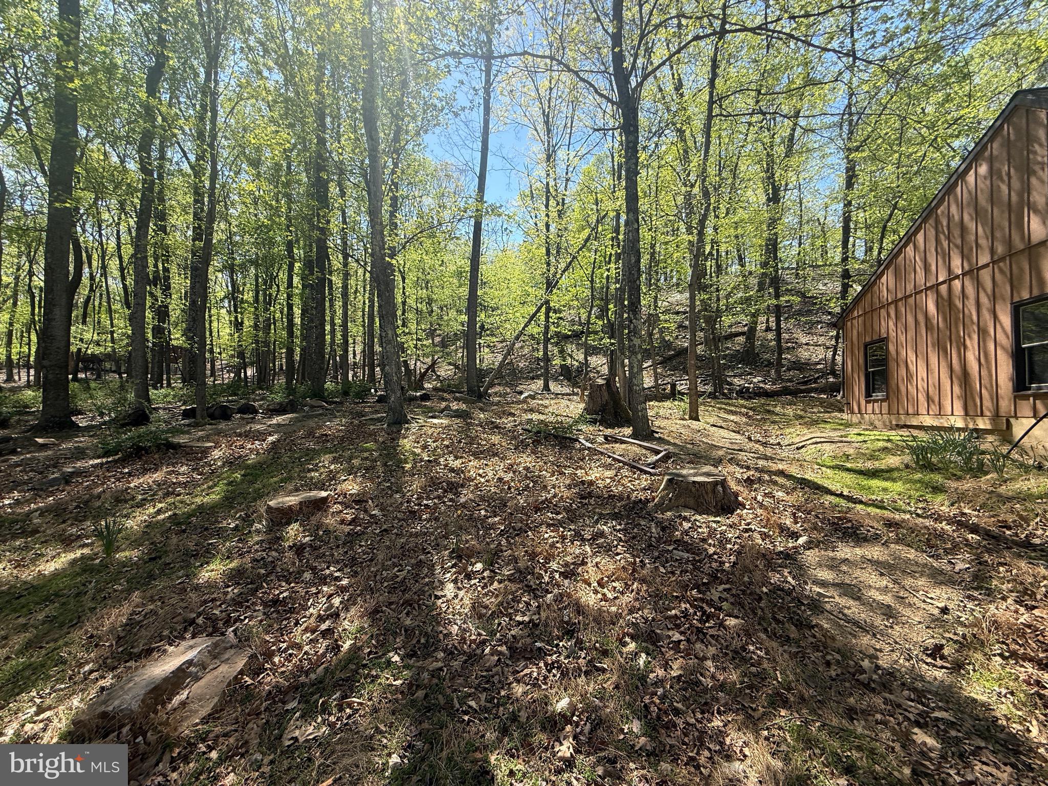 PINEY RIDGE - Land