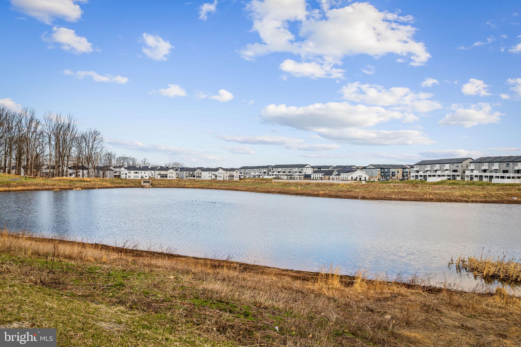 SOUTH LAKE - Residential
