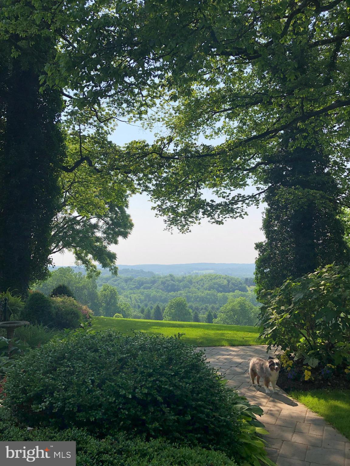 WORTHINGTON VALLEY - Farm