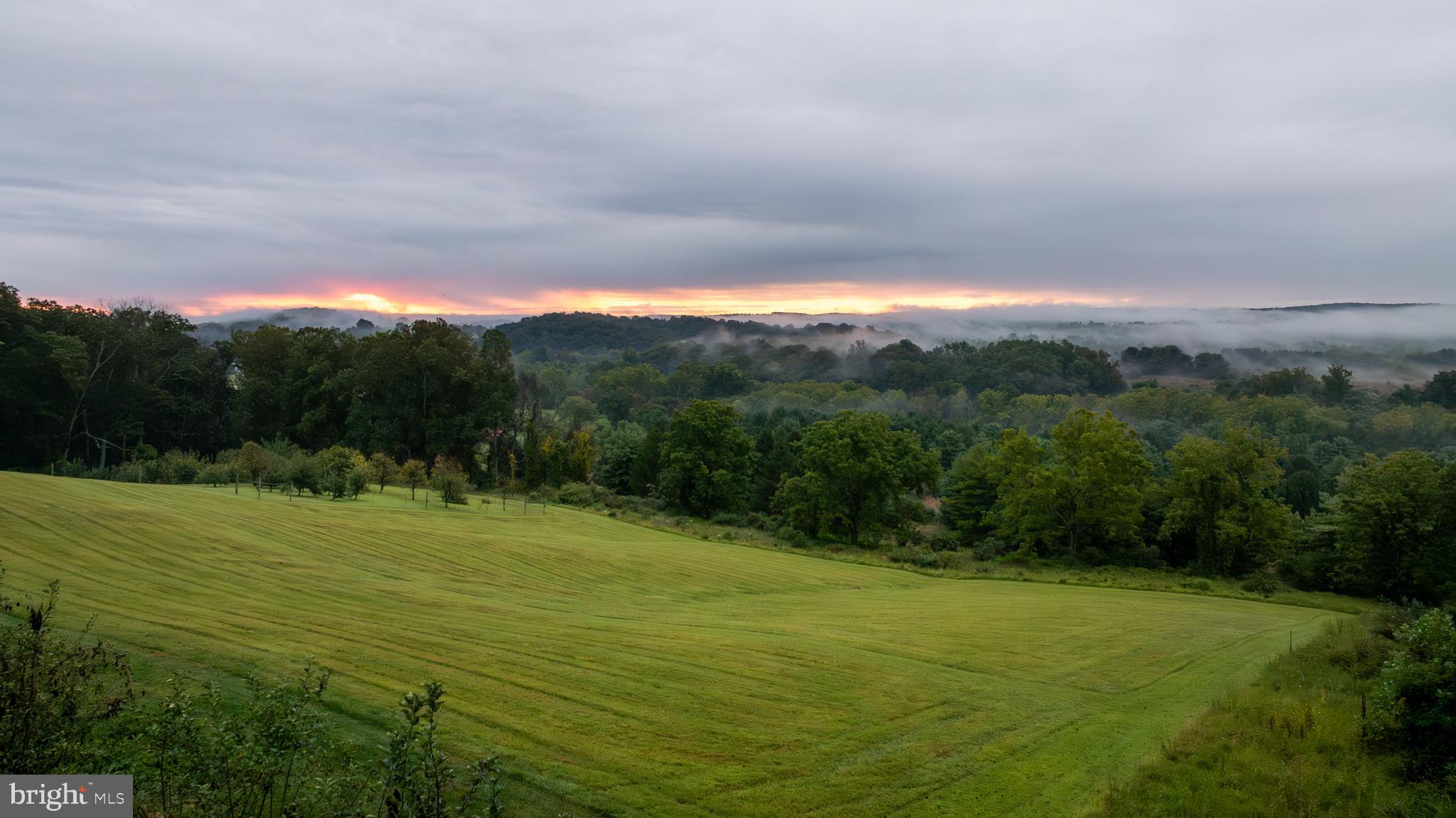 WORTHINGTON VALLEY - Farm