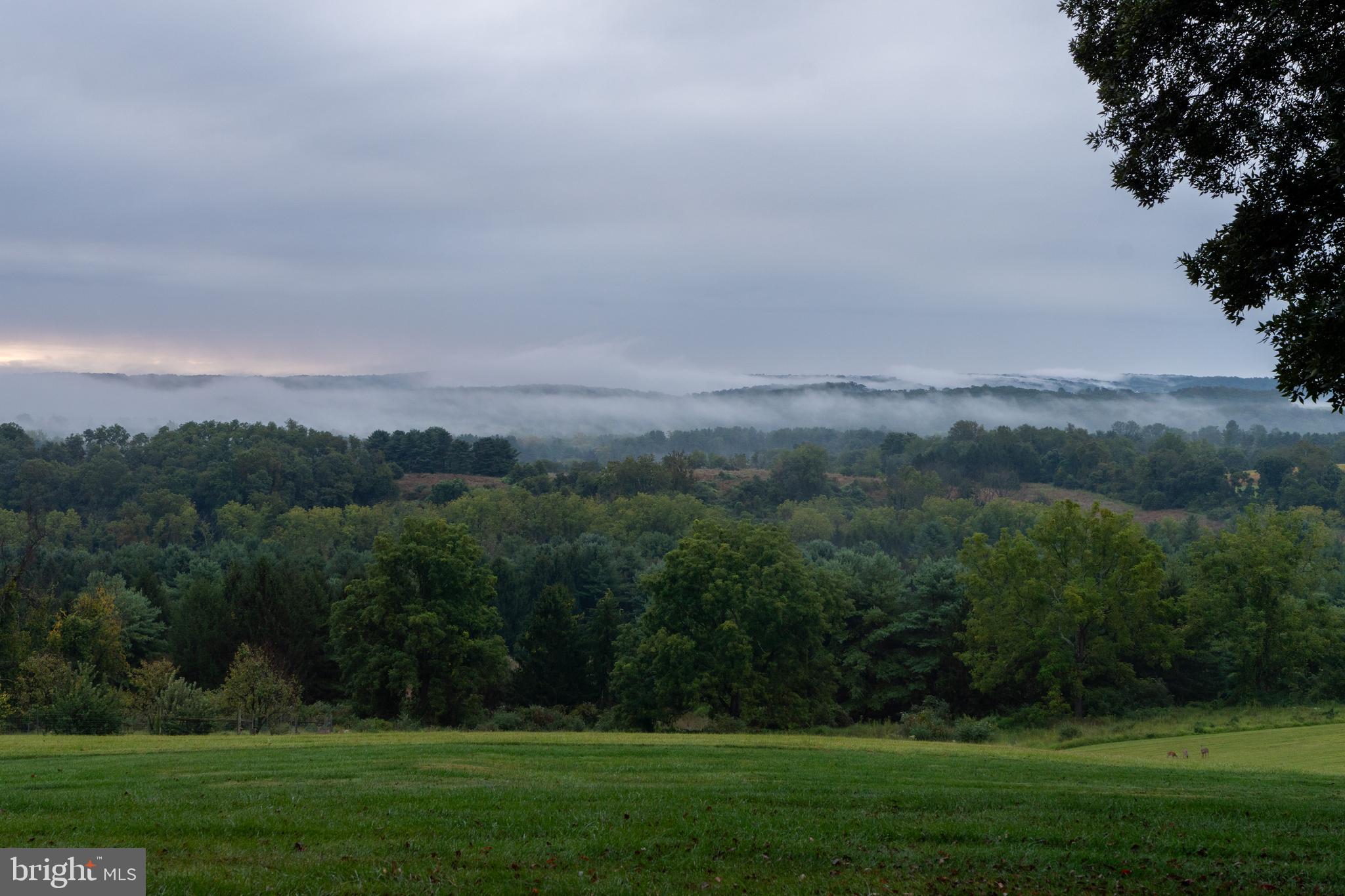 WORTHINGTON VALLEY - Farm
