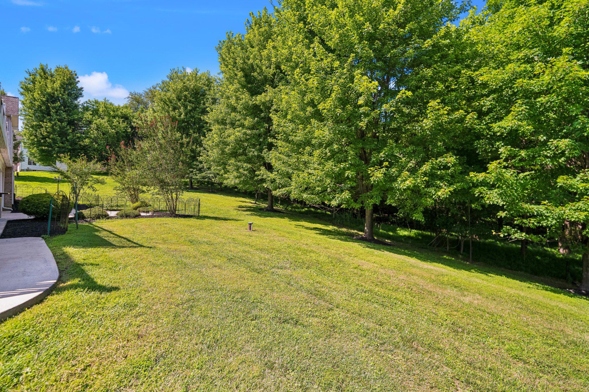 BUCKSKIN WOODS - Residential