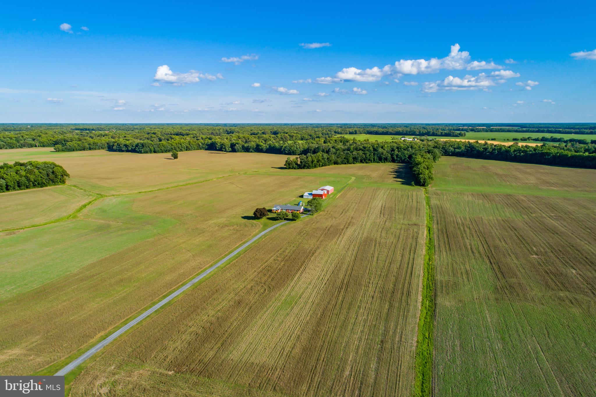 MILLINGTON - Farm