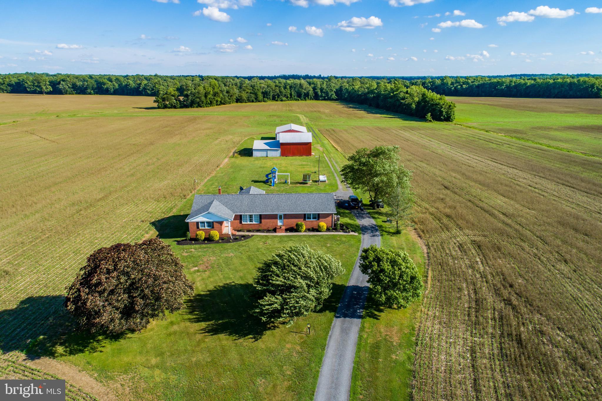 MILLINGTON - Farm
