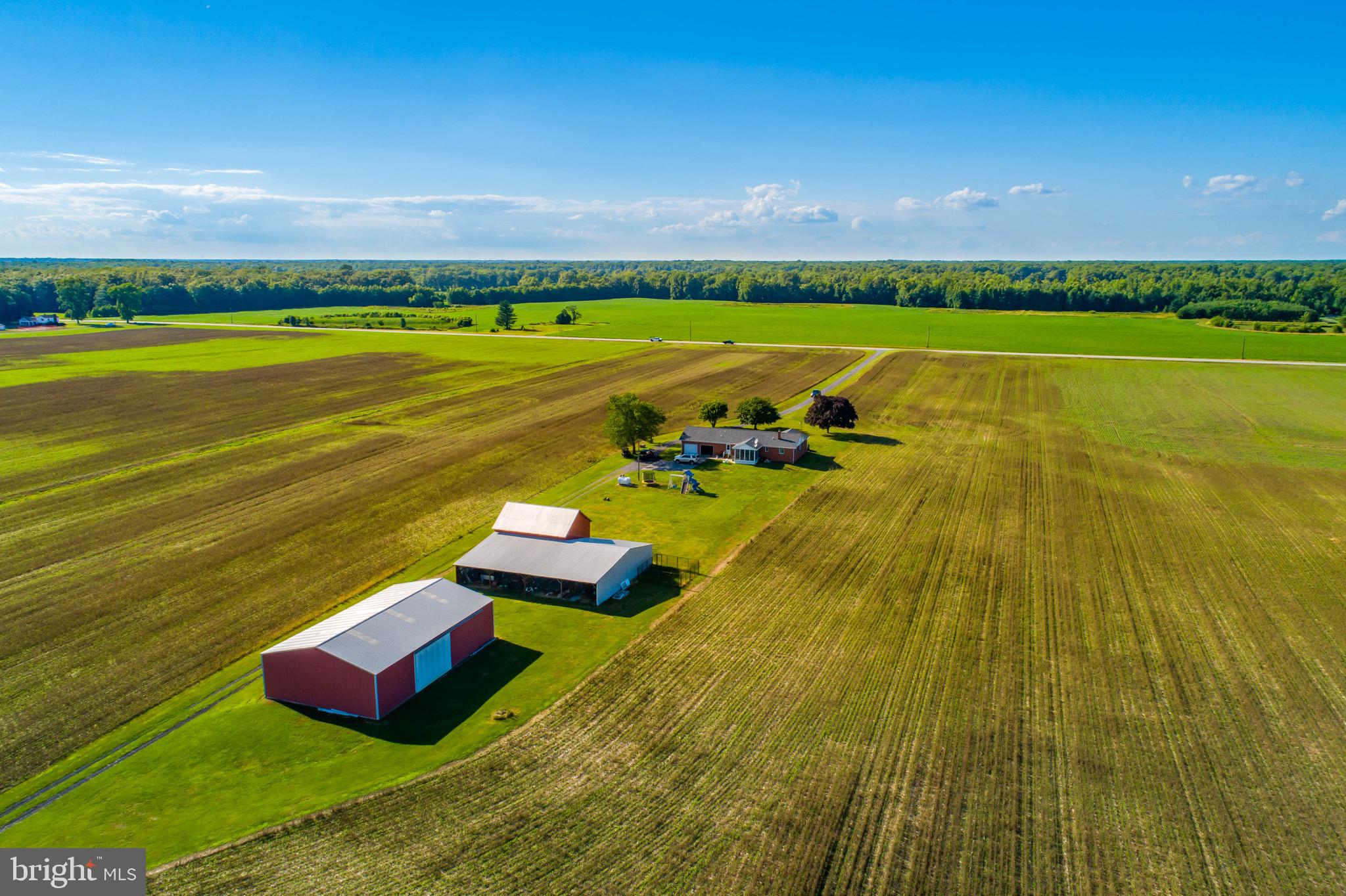 MILLINGTON - Farm