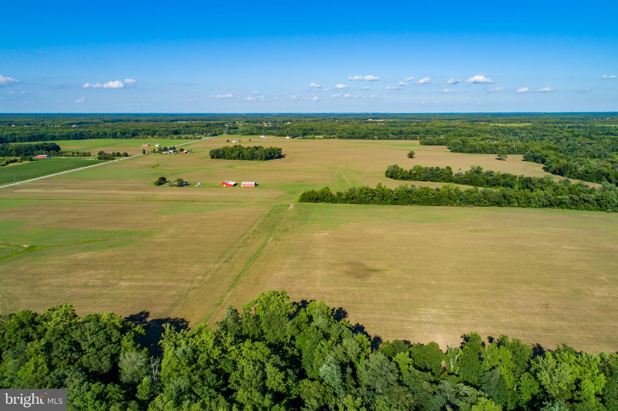 MILLINGTON - Farm