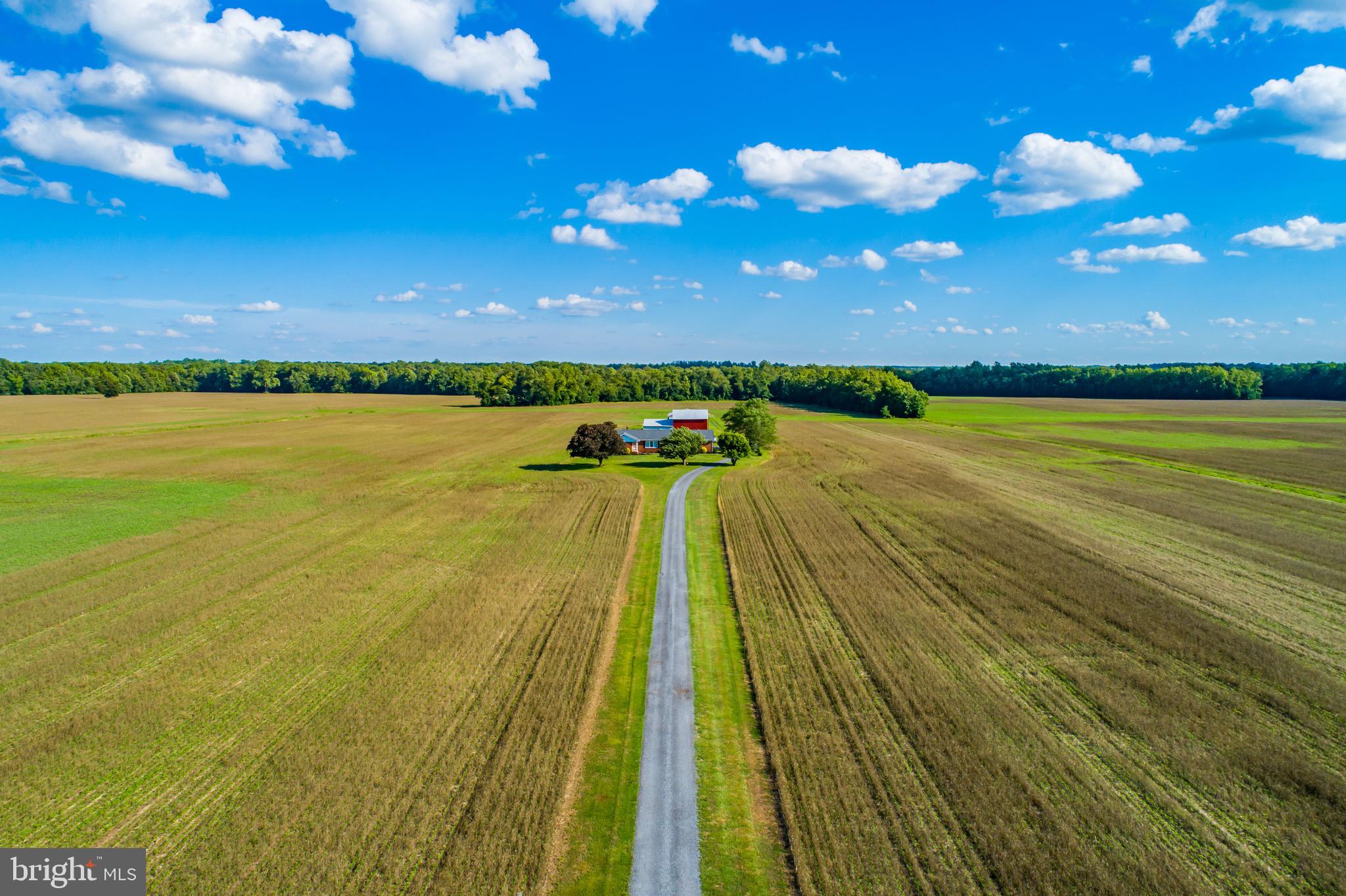 MILLINGTON - Farm