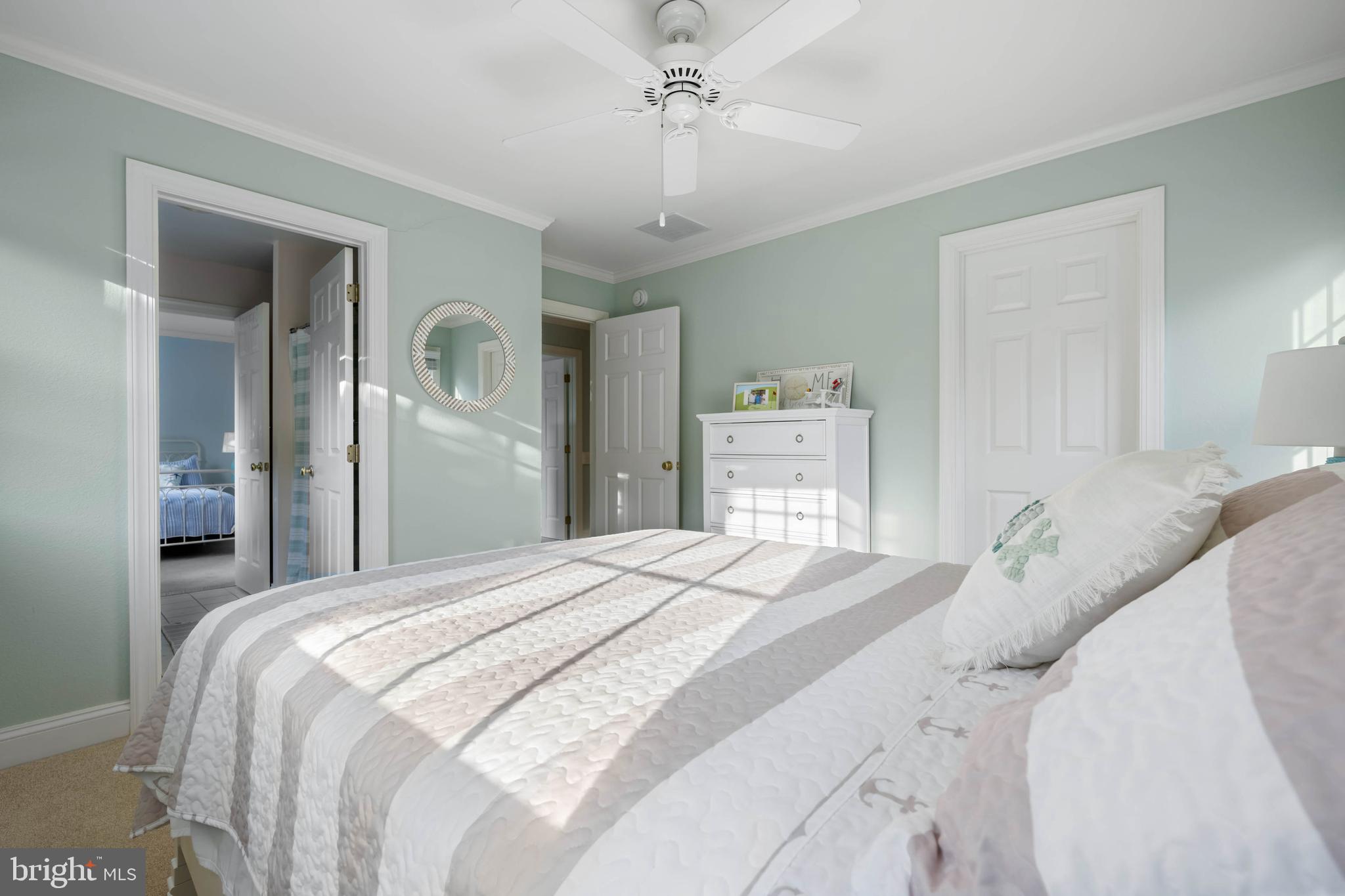 BEAR TRAP - Residential
