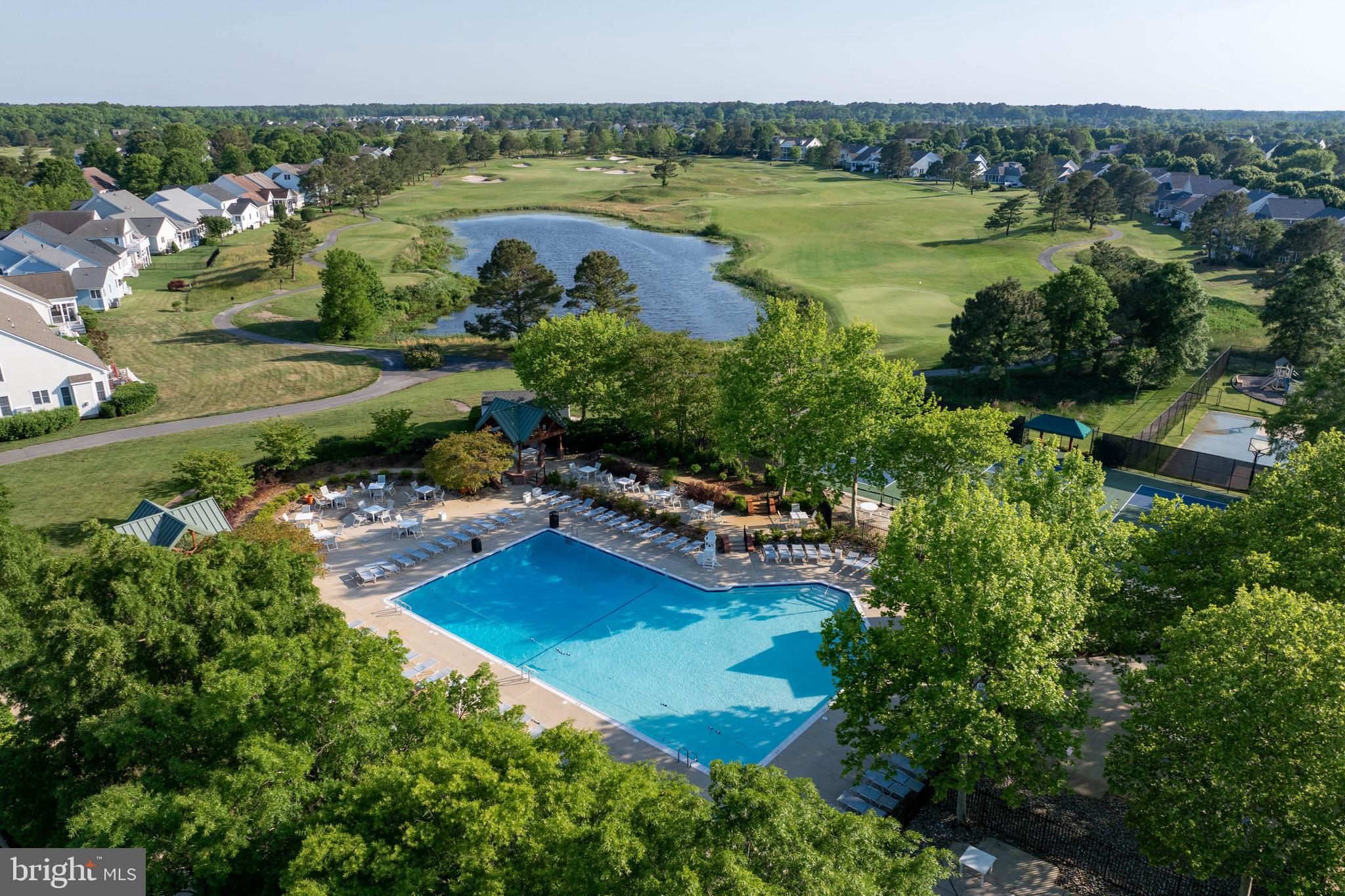 BEAR TRAP - Residential