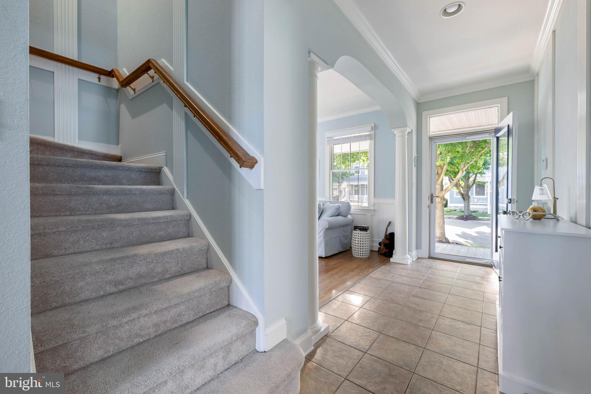 BEAR TRAP - Residential