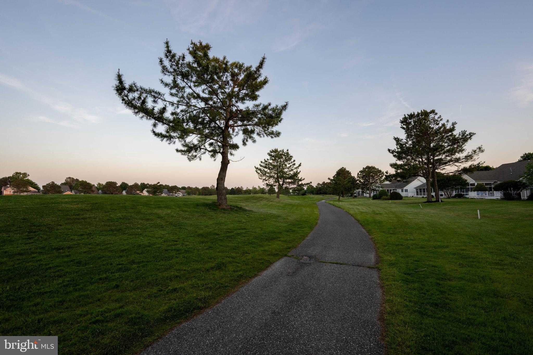 BEAR TRAP - Residential