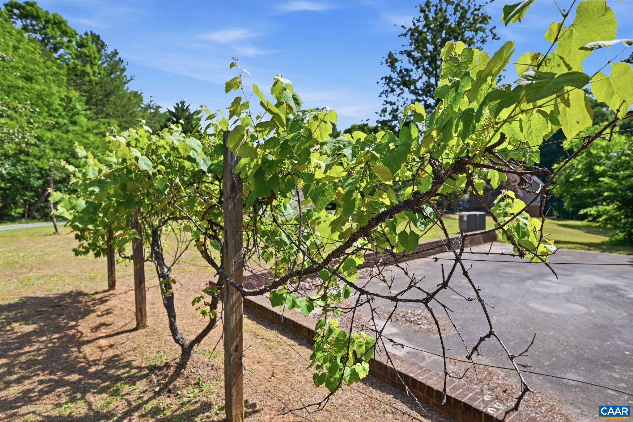 POPLAR LAKE ESTATES - Residential