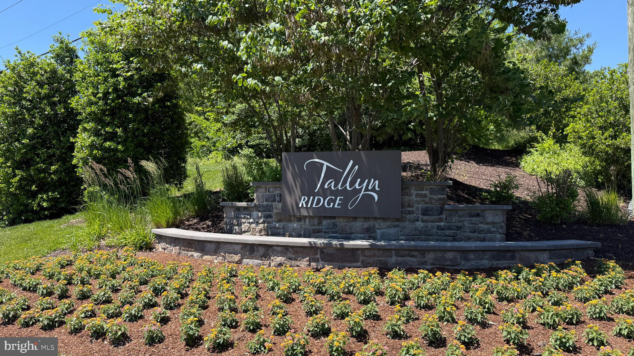 TALLYN RIDGE AT PINECLIFF PARK - Residential