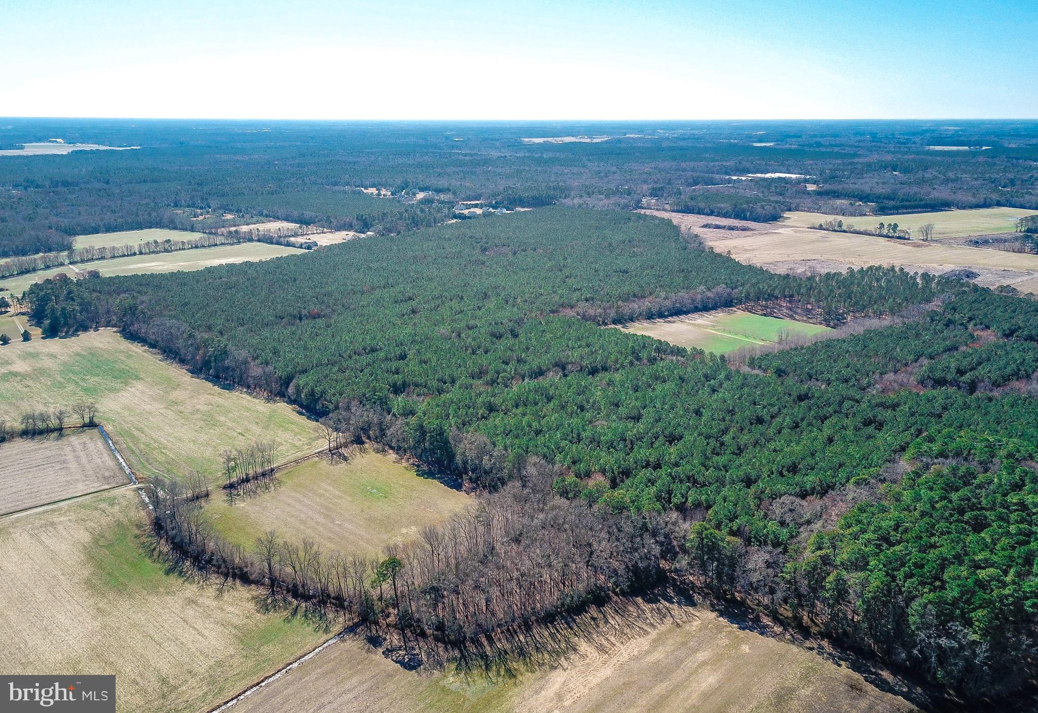 " DEVELOPMENT OPPORTUNITY”

We are pleased to offer this 130 +\- AC in Delmar, MD. The entire property is wooded, mostly pines with hardwoods scattered throughout. Nice road system exists from a select cut timbering in the early 2000s. Great recreational and hunting tract. The property is zoned Agricultural which allows development and a cluster subdivision. Great potential to work with the county to have the property reverted back to residential zoning to allow for greater development. The tax map parcels are incorrect, a survey by the neighbor shows the correct eastern boundary line. Check this one out if you’re looking for a large property with tremendous potential no matter which direction you want to take it. Schedule your private tour today!