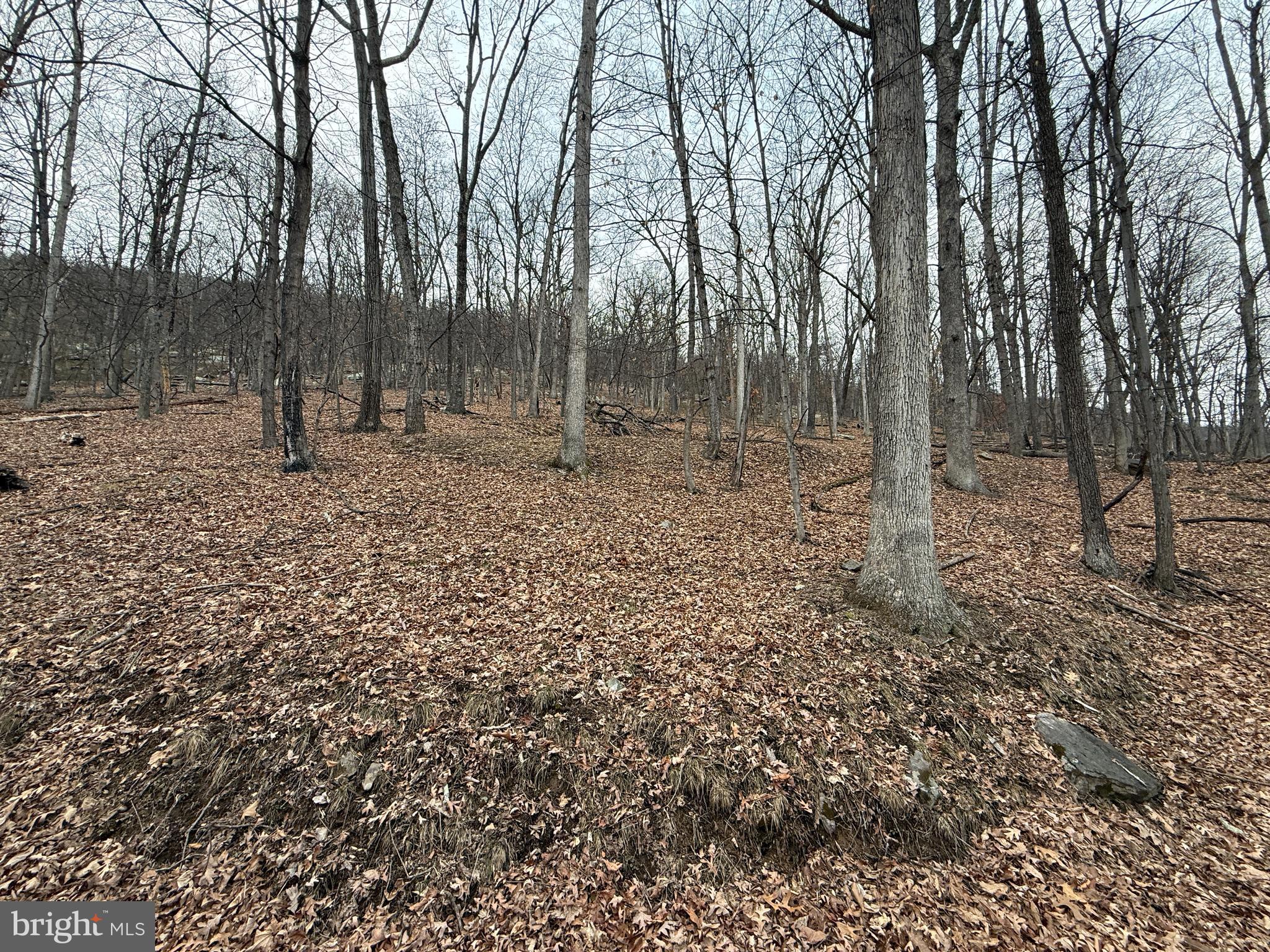 COOLFONT - Land