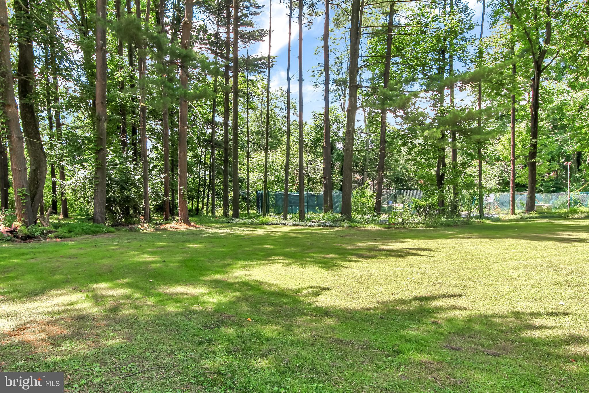 SPRINGETTSBURY TWP - Residential