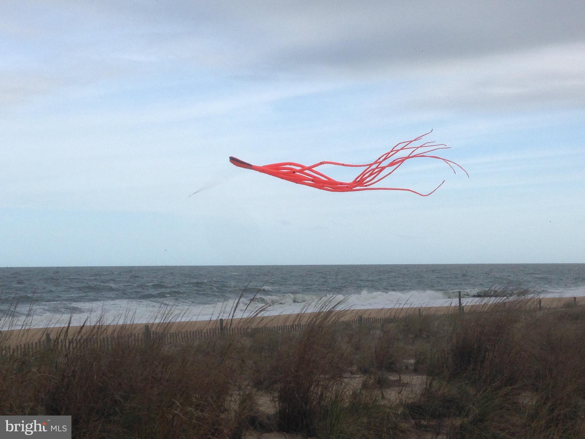 CAPE SHORES - Residential