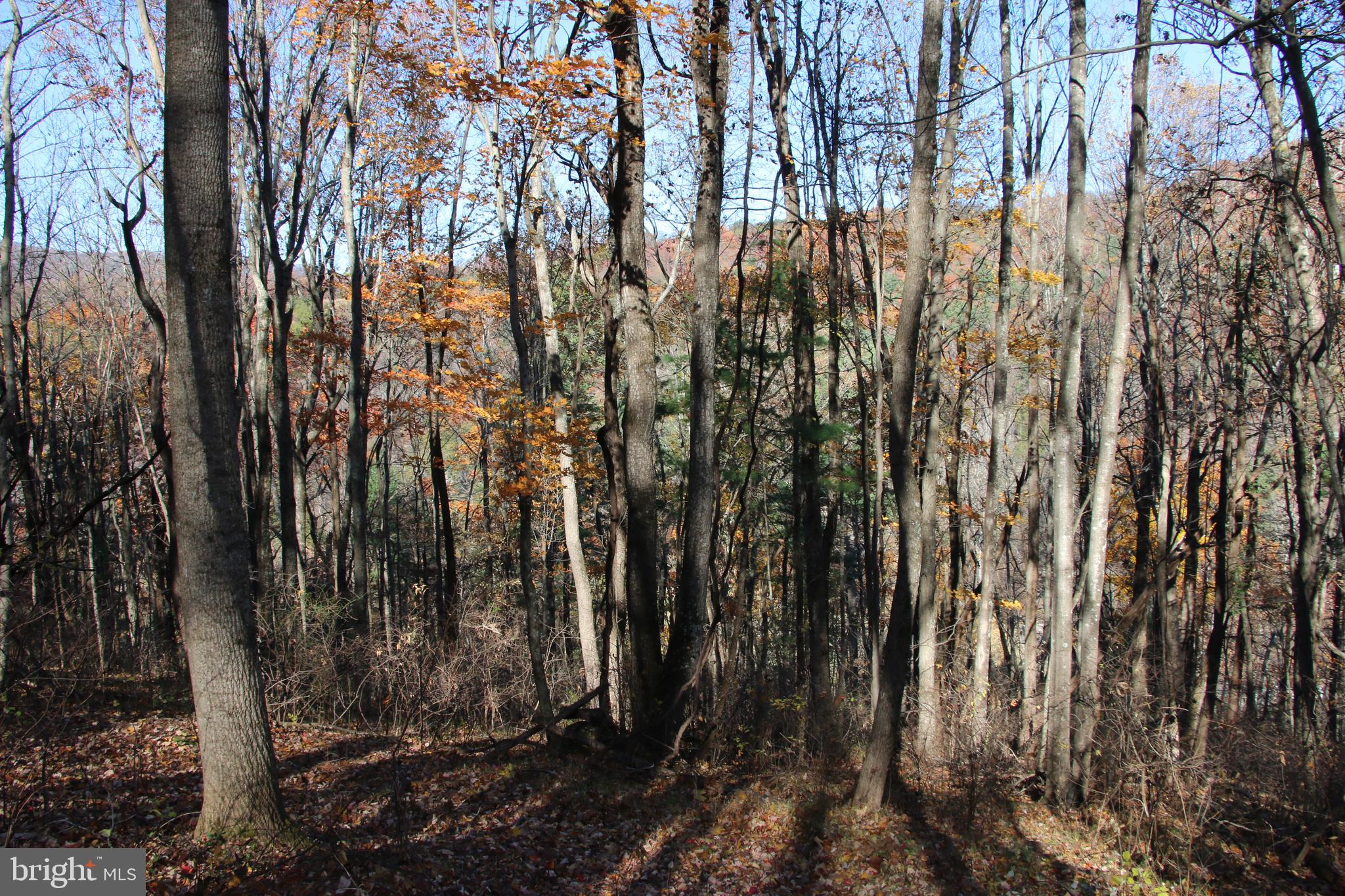 OVERLOOK MOUNTAIN - Land