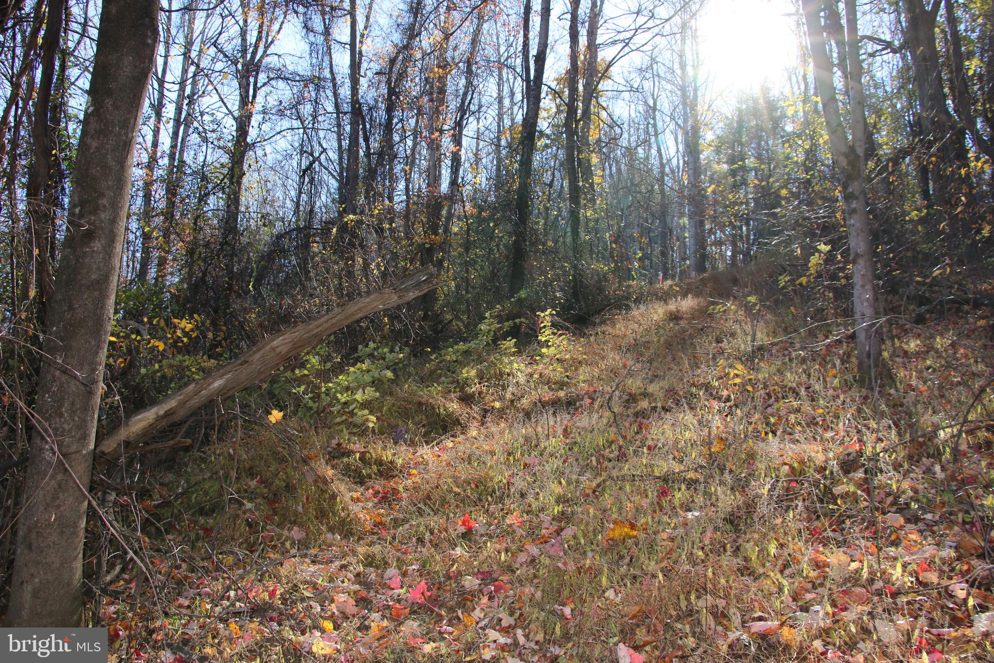 OVERLOOK MOUNTAIN - Land