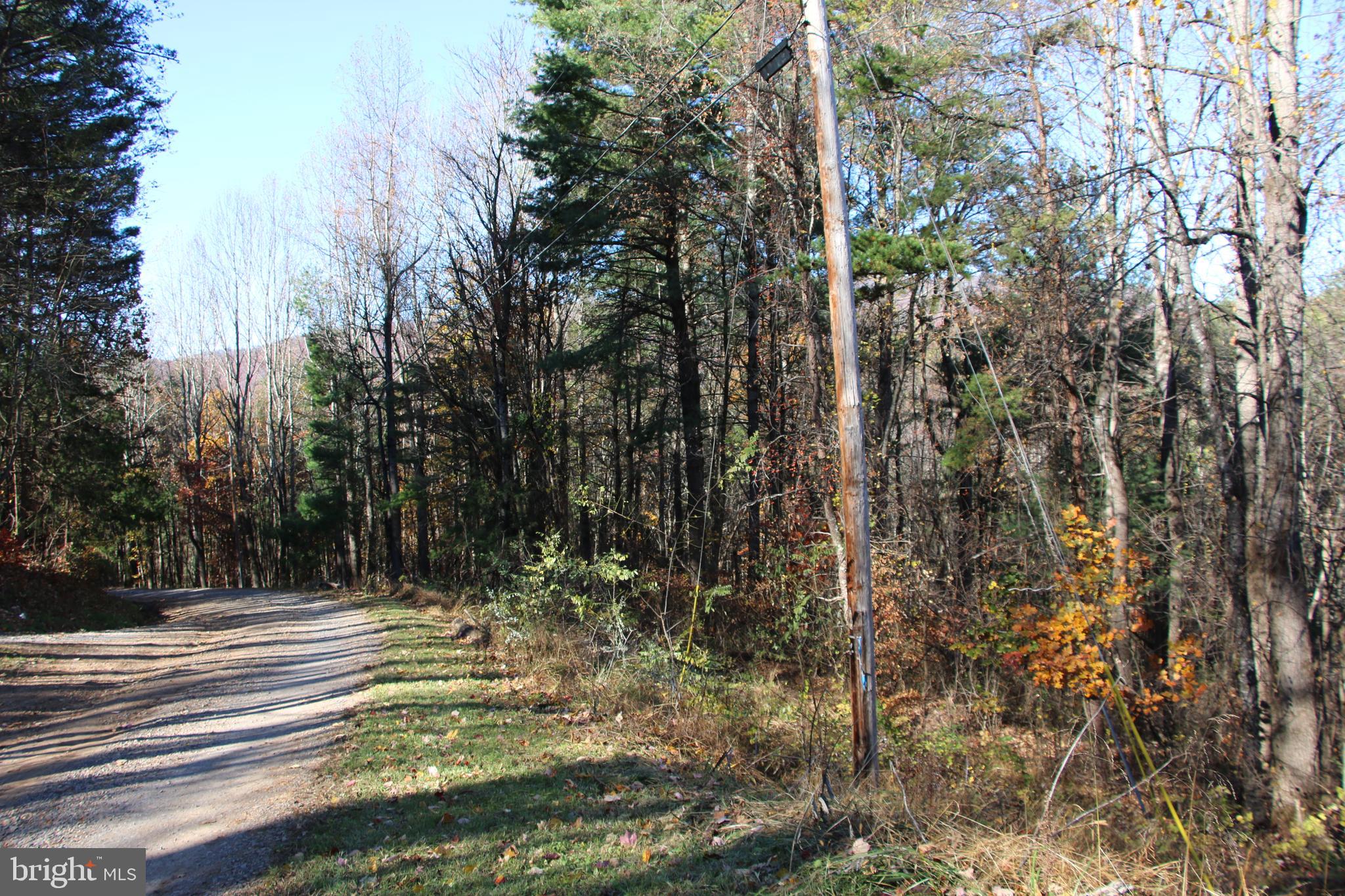 OVERLOOK MOUNTAIN - Land